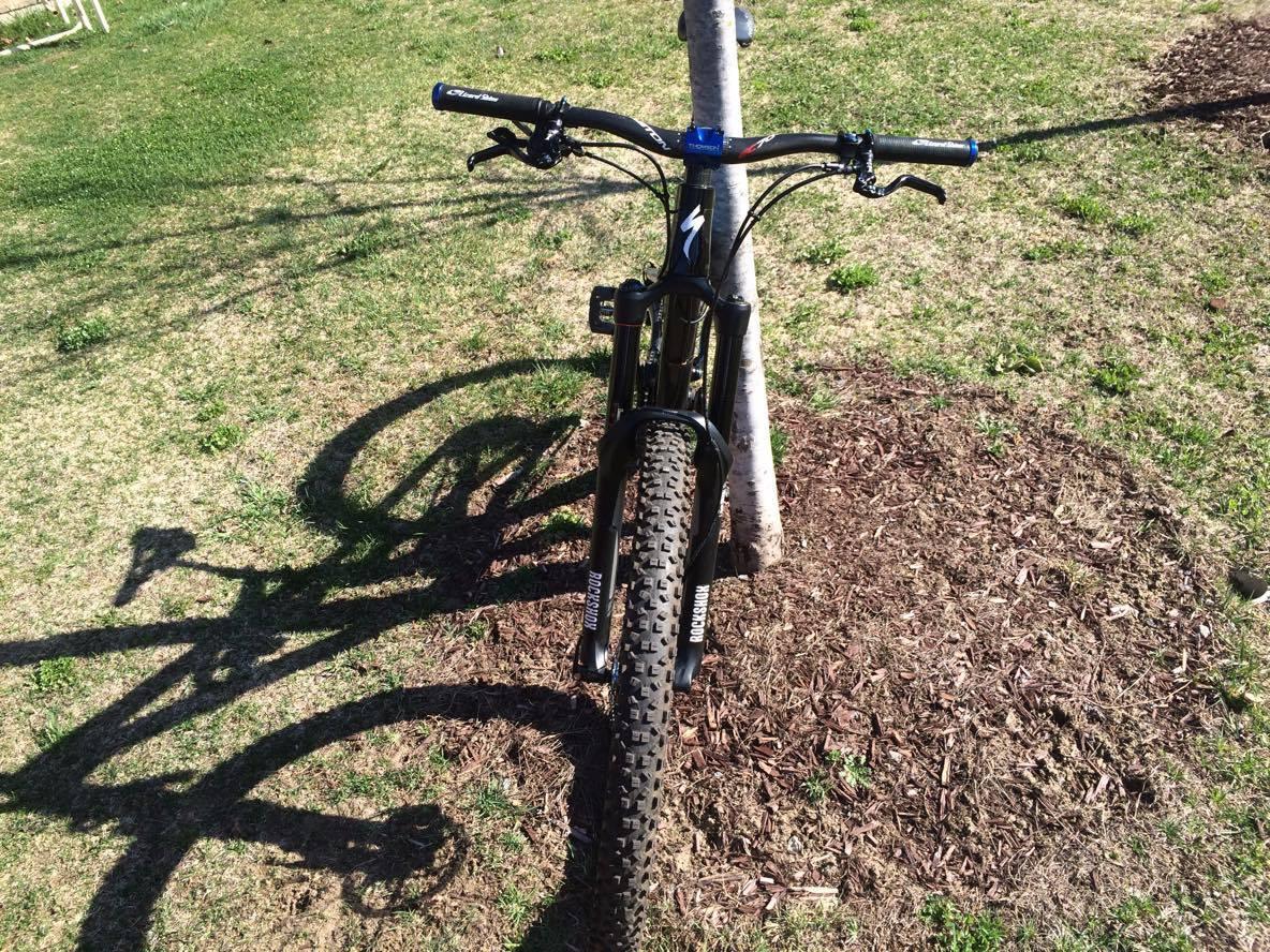 Specialized Enduro Comp 29: A black mountain bike leaning against a small tree, surrounded by grassy terrain and mulch. The bike's shadows are visible on the ground, cast by the sunlight.