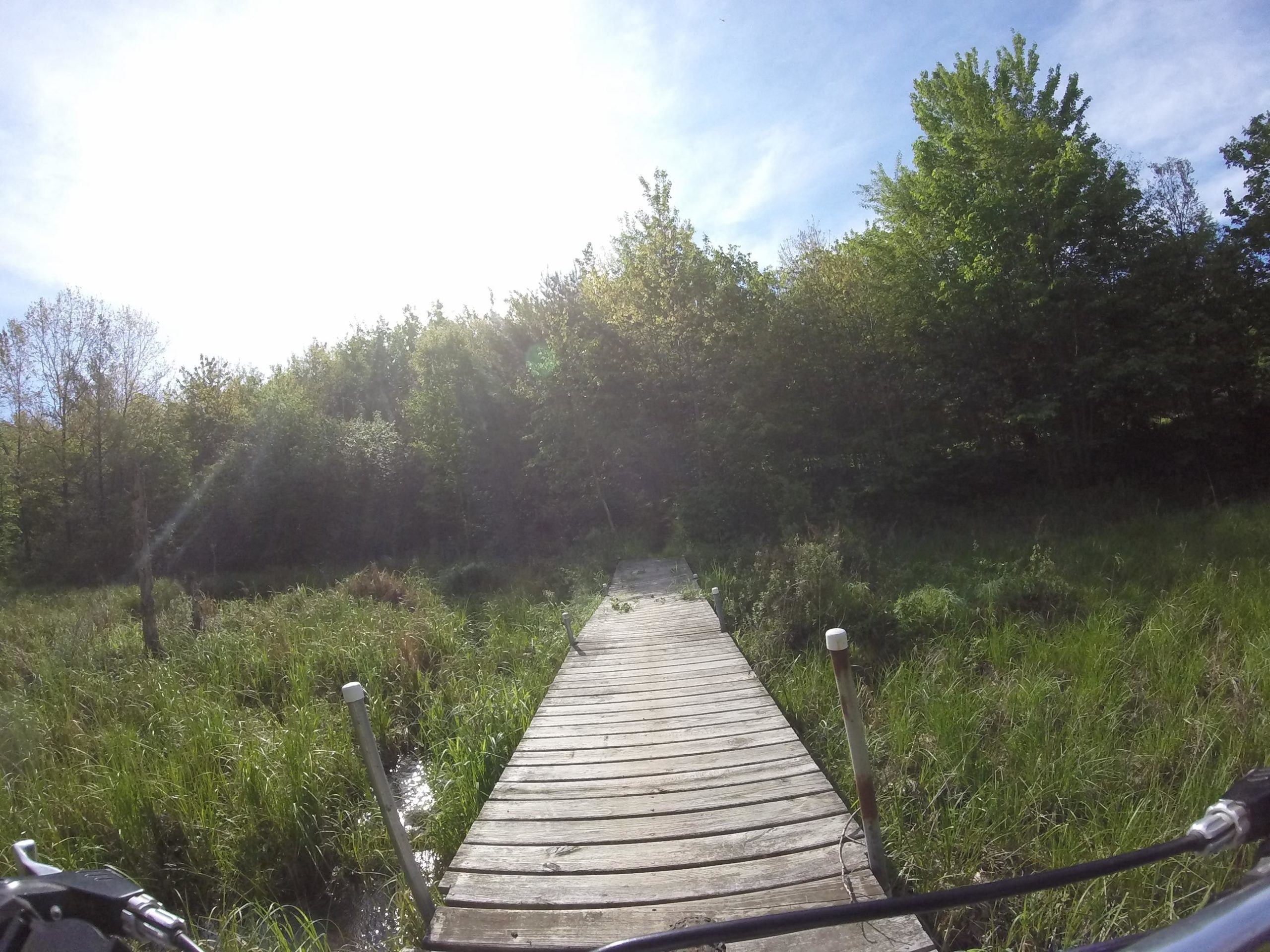 A wooden boardwalk leading through lush greenery and tall grass, connecting to a wooded area under a bright sky. The image captures a serene nature scene, ideal for outdoor activities such as hiking or biking. Hickory Ridge mountain bike trail.