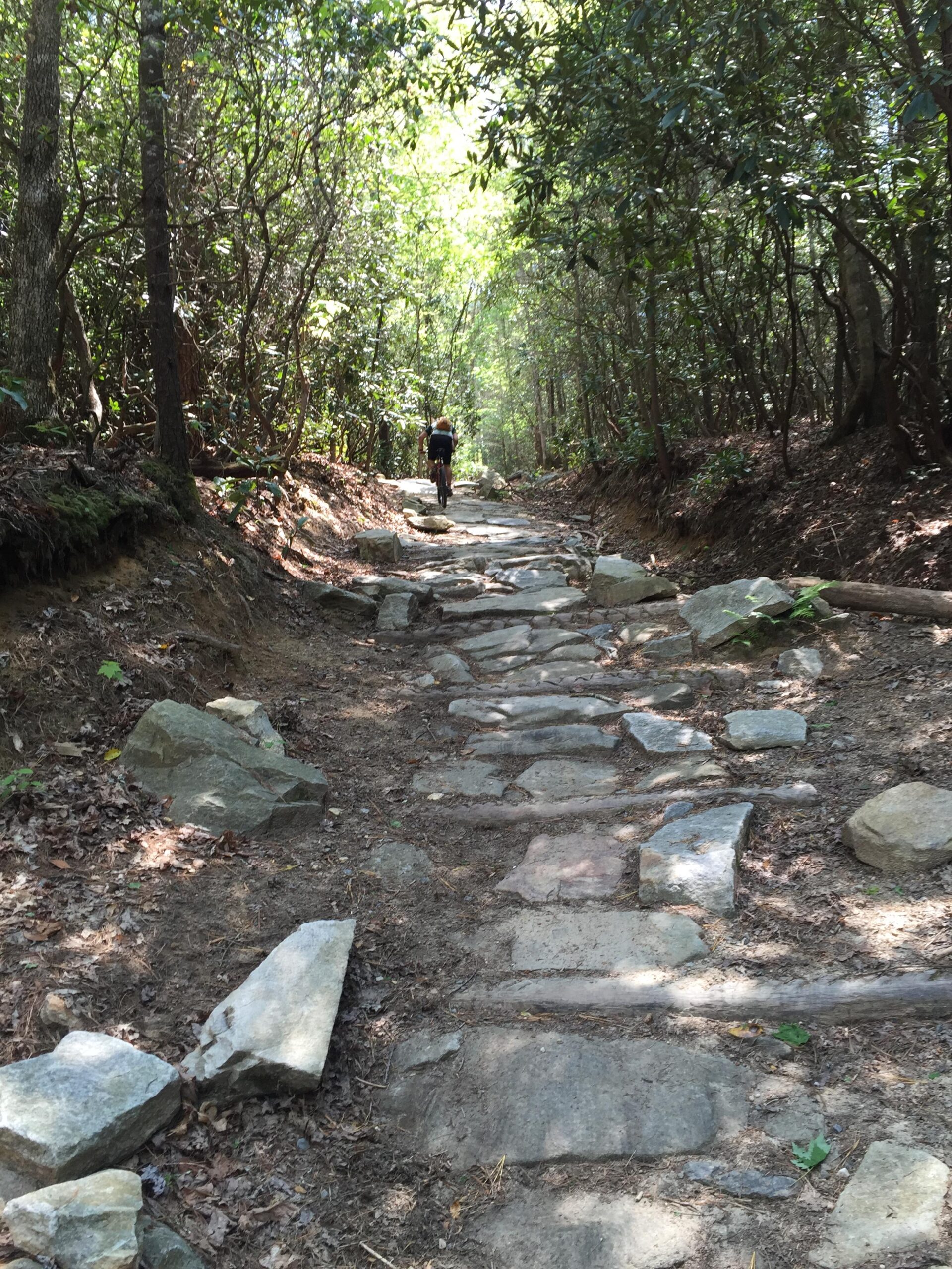 A narrow, stone-paved trail winding through a dense forest with sunlight filtering through the trees. A person on a bicycle can be seen riding away down the path, surrounded by lush greenery and rocky terrain. Jim Branch Trail #41 mountain bike trail.