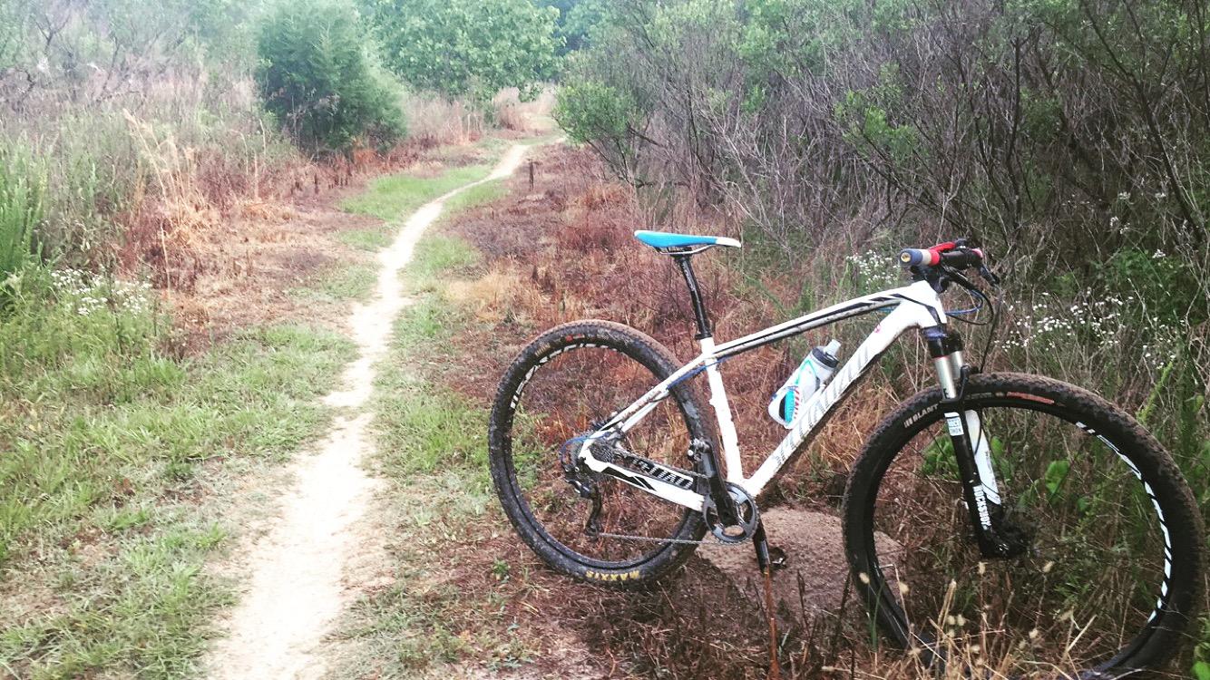 A mountain bike is leaning against a small mound on a winding, dirt trail surrounded by greenery and tall grass. The path leads into the distance through a wooded area, suggesting a secluded outdoor setting ideal for biking. Horry County Bike Run Park mountain bike trail.