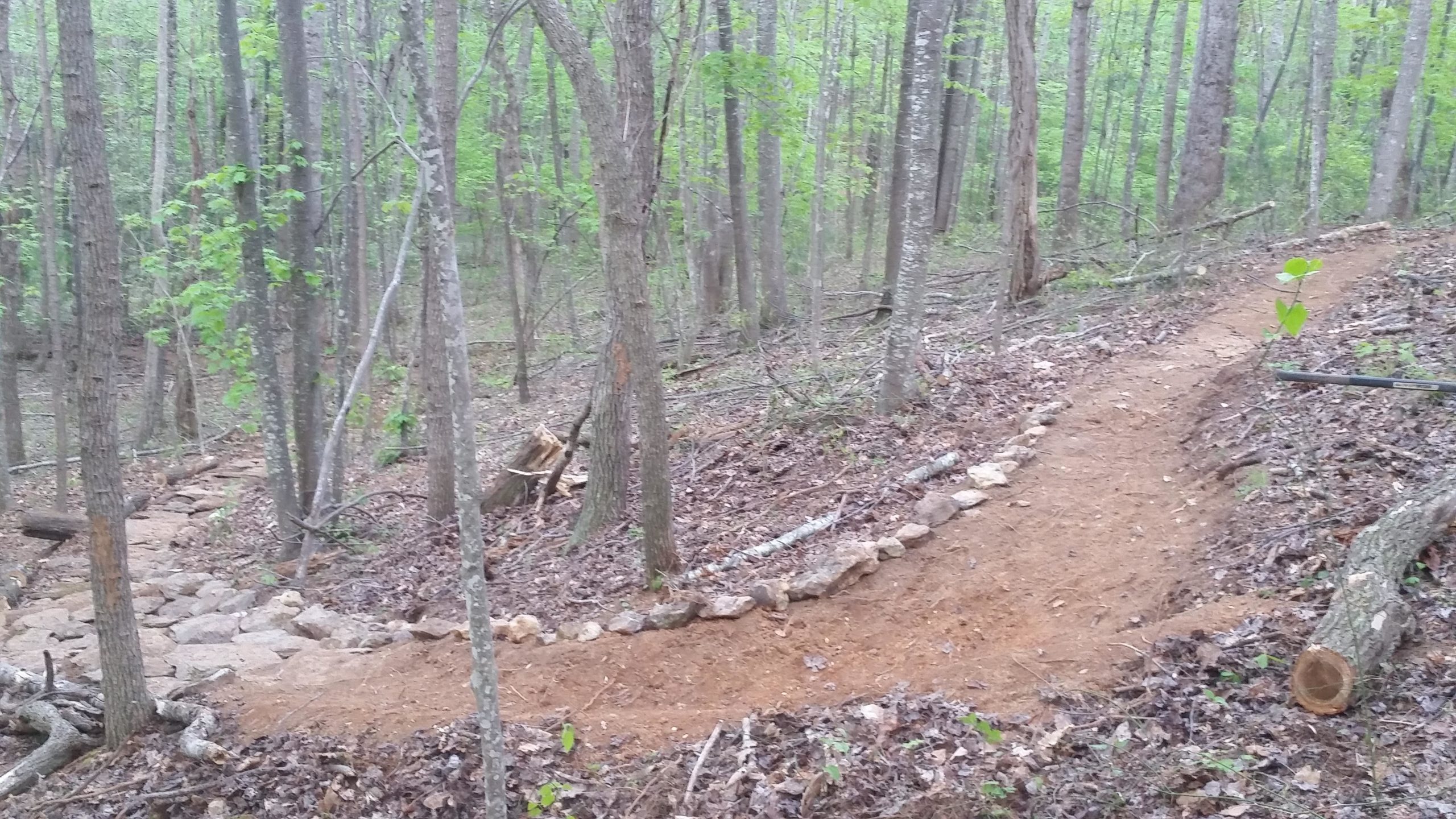 Woolwine Trails [Shiners Revenge] Mountain Bike Trail in Woolwine