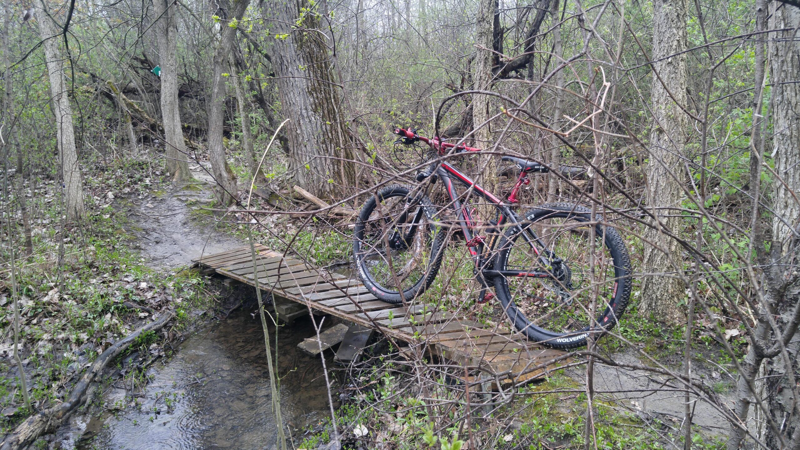 A mountain bike resting on a wooden bridge over a small stream, surrounded by trees and dense underbrush. Spring foliage is visible, and the ground is muddy with scattered leaves. Morton-Taylor Trail mountain bike trail.
