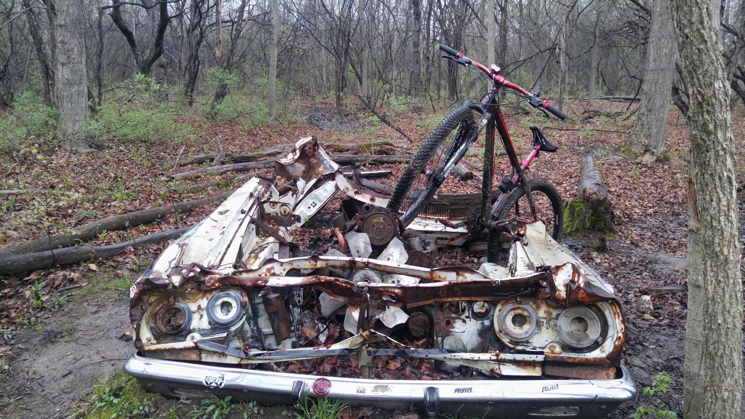 A rusty, abandoned car chassis partially covered in leaves and mud, set in a wooded area. A mountain bike is propped upright on top of the car, contrasting with the decaying vehicle. In the background, trees are bare and surrounded by fallen branches and undergrowth. Morton-Taylor Trail mountain bike trail.