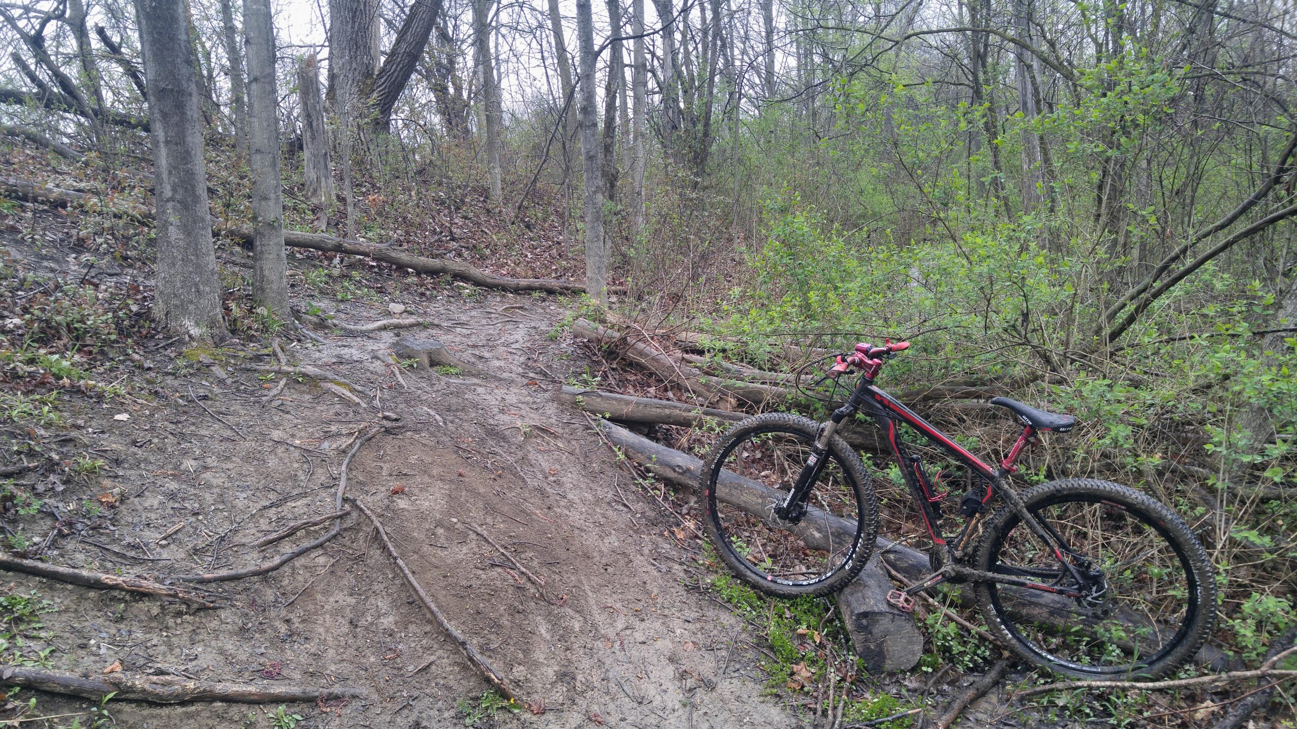 A mountain bike resting against a tree trunk on a muddy, uneven trail in a wooded area, surrounded by fallen branches and green foliage. The cloudy sky suggests overcast weather. Morton-Taylor Trail mountain bike trail.