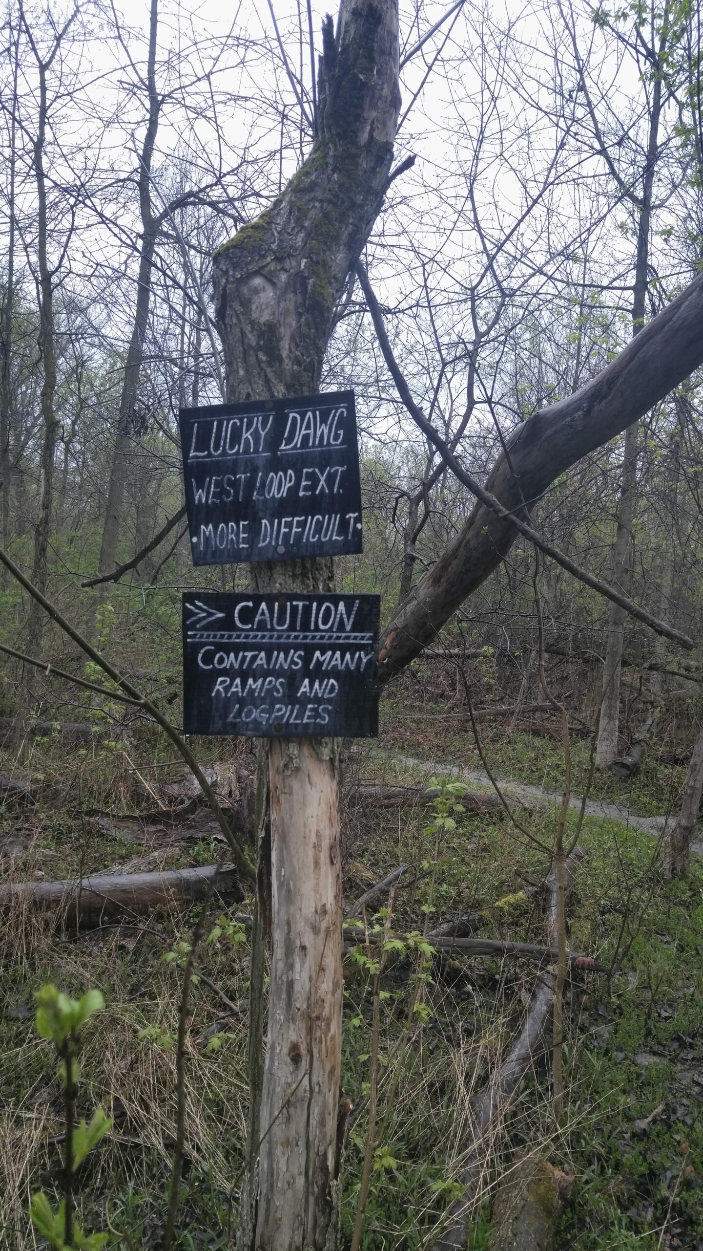 A weathered wooden sign attached to a tree in a wooded area. The sign reads "LUCKY DAWG WEST LOOP EXT. MORE DIFFICULT" above another sign stating "CAUTION CONTAINS MANY RAMPS AND LOGPILES." Surrounding the signs are bare trees and underbrush, indicating an outdoor trail environment. Morton-Taylor Trail mountain bike trail.