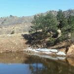 A serene landscape featuring a calm pond surrounded by rocky terrain and pine trees, under a clear blue sky. Snow patches are visible along the shore, indicating a transition from winter to spring. Red Rock Canyon mountain bike trail.