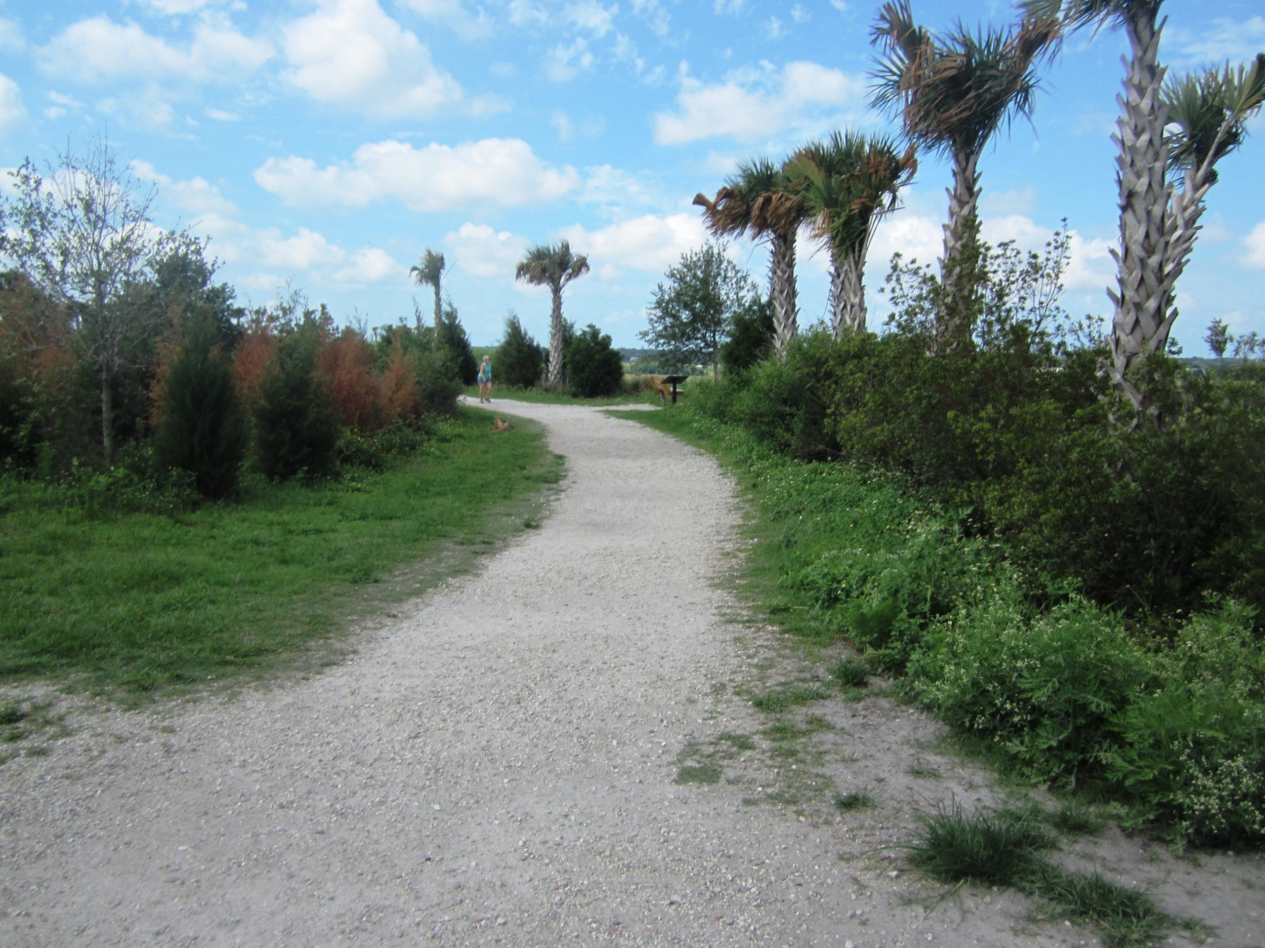 The Celery Fields Mountain Bike Trail in Sarasota, Florida Directions