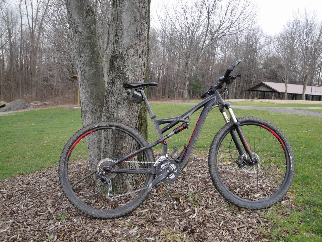 Specialized Camber 29: A mountain bike resting against a tree, surrounded by grass and mulch in a park setting. The bike features a sturdy frame, thick tires, and a suspension system. In the background, there is a rustic shelter and bare trees, indicating an early spring or late autumn day.