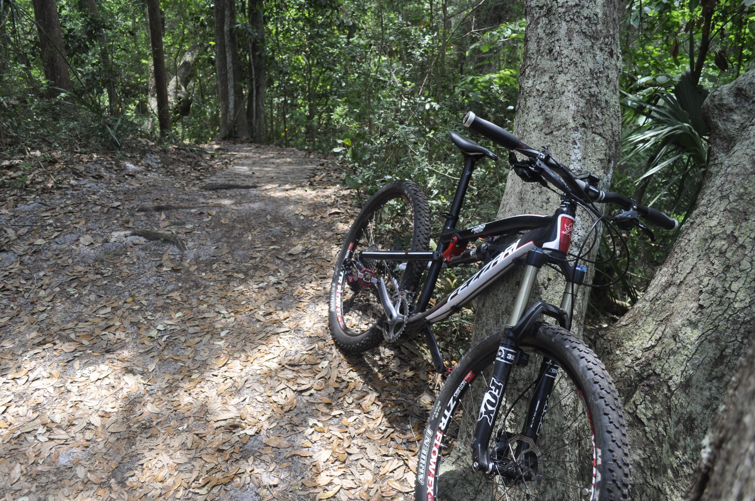 A mountain bike leans against a tree on a forest trail covered in fallen leaves, surrounded by greenery. The path is narrow and sunlit, with a mix of dirt and leaves creating a natural atmosphere. Ft. Clinch State Park mountain bike trail.