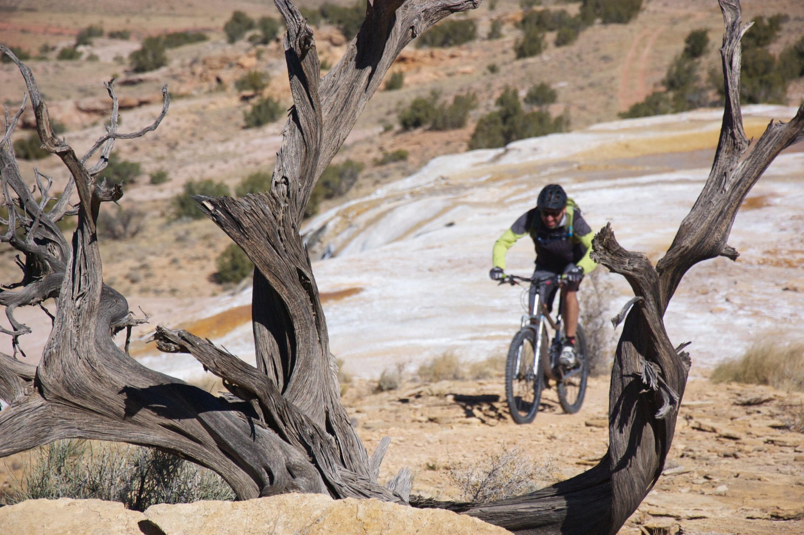 A mountain biker wearing a helmet and bright clothing rides along a rocky trail, framed by the twisted branches of a dry tree. The background features a rugged landscape with sparse vegetation under a clear blue sky. White Ridge Bike Trails mountain bike trail.