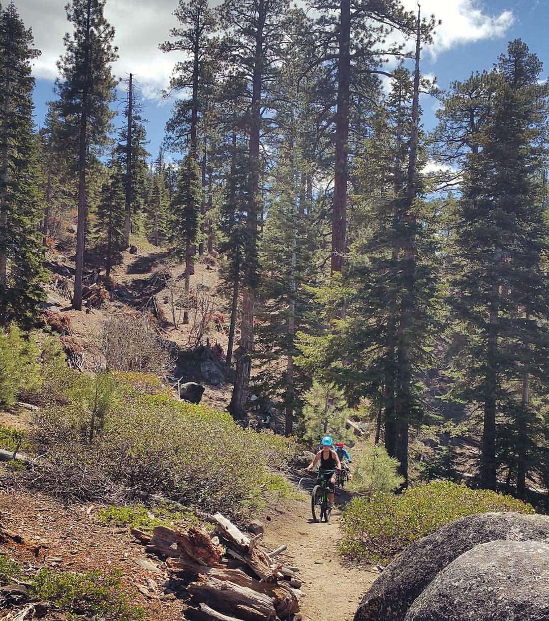 A bicycle path winding through a forest with tall pine trees, where two cyclists are riding. The scene features a mix of greenery, rocky terrain, and a clear blue sky with scattered clouds. Tahoe Rim Trail mountain bike trail.