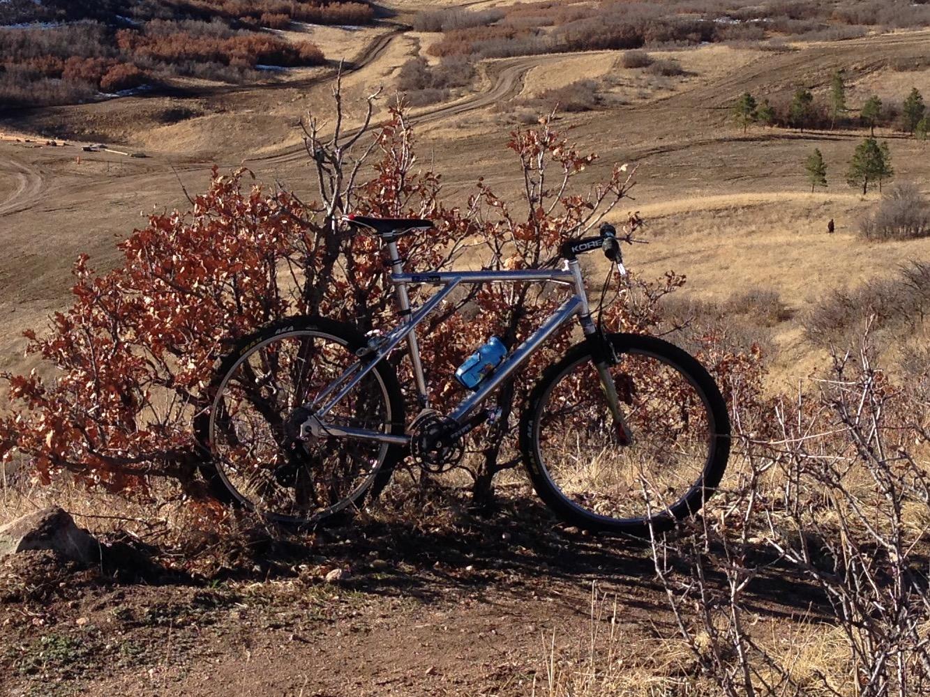 GT Zaskar: A silver mountain bike is leaning against a bush with reddish leaves, set against a backdrop of rolling hills and sparse vegetation. The scene captures a sunny outdoor landscape, showcasing trails winding through the terrain.