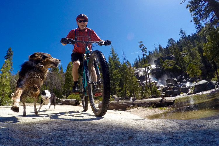 A person riding a mountain bike on a rocky terrain beside a calm body of water, with two dogs running alongside. In the background, a waterfall cascades down amidst lush green trees under a clear blue sky.