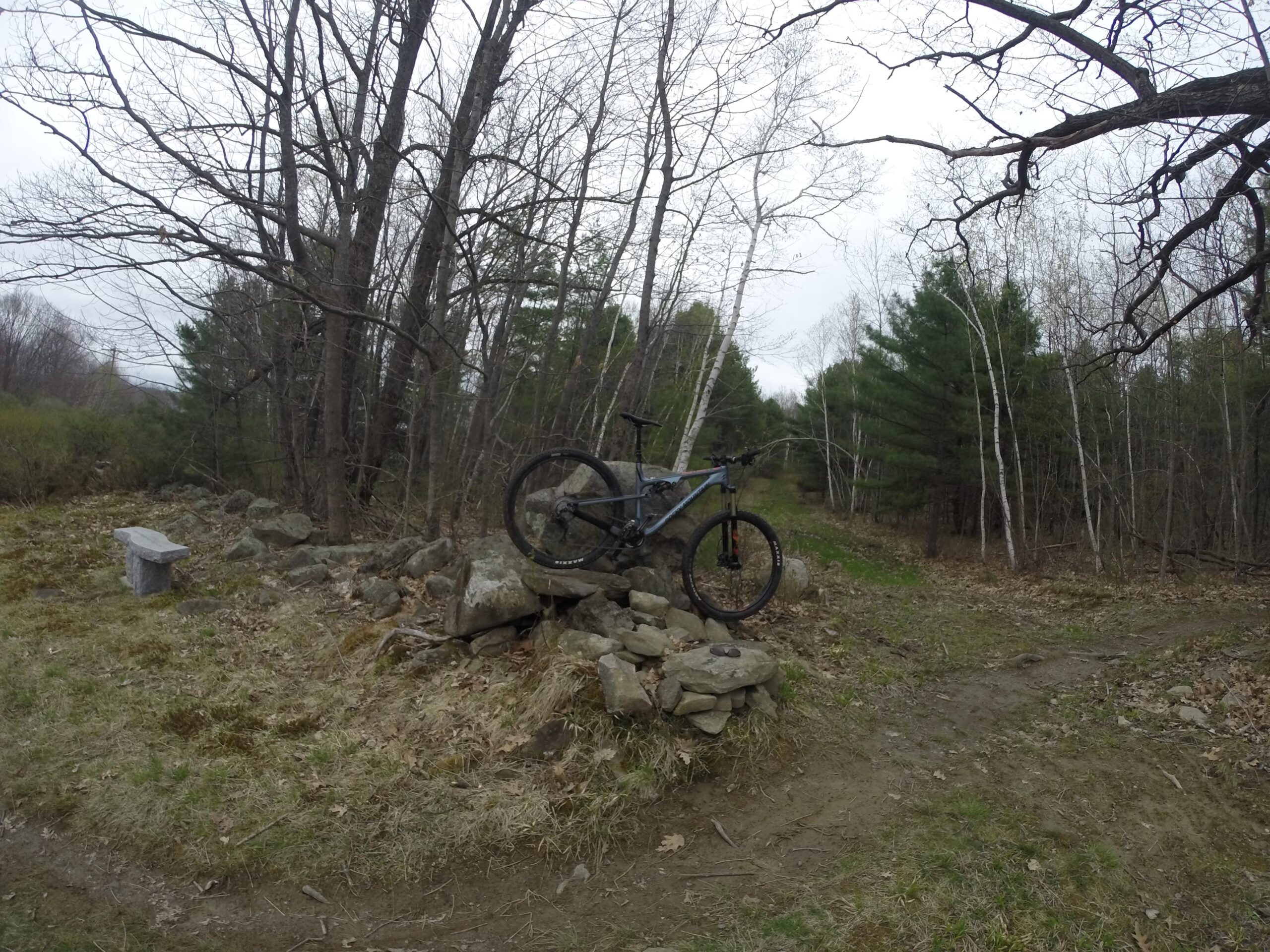 Rocky Mountain Instinct 970 MSL: A mountain bike resting on a pile of rocks beside a dirt trail, surrounded by a forest of bare trees and evergreen pine trees. There is a stone bench nearby, and the sky is overcast, suggesting a cloudy day.