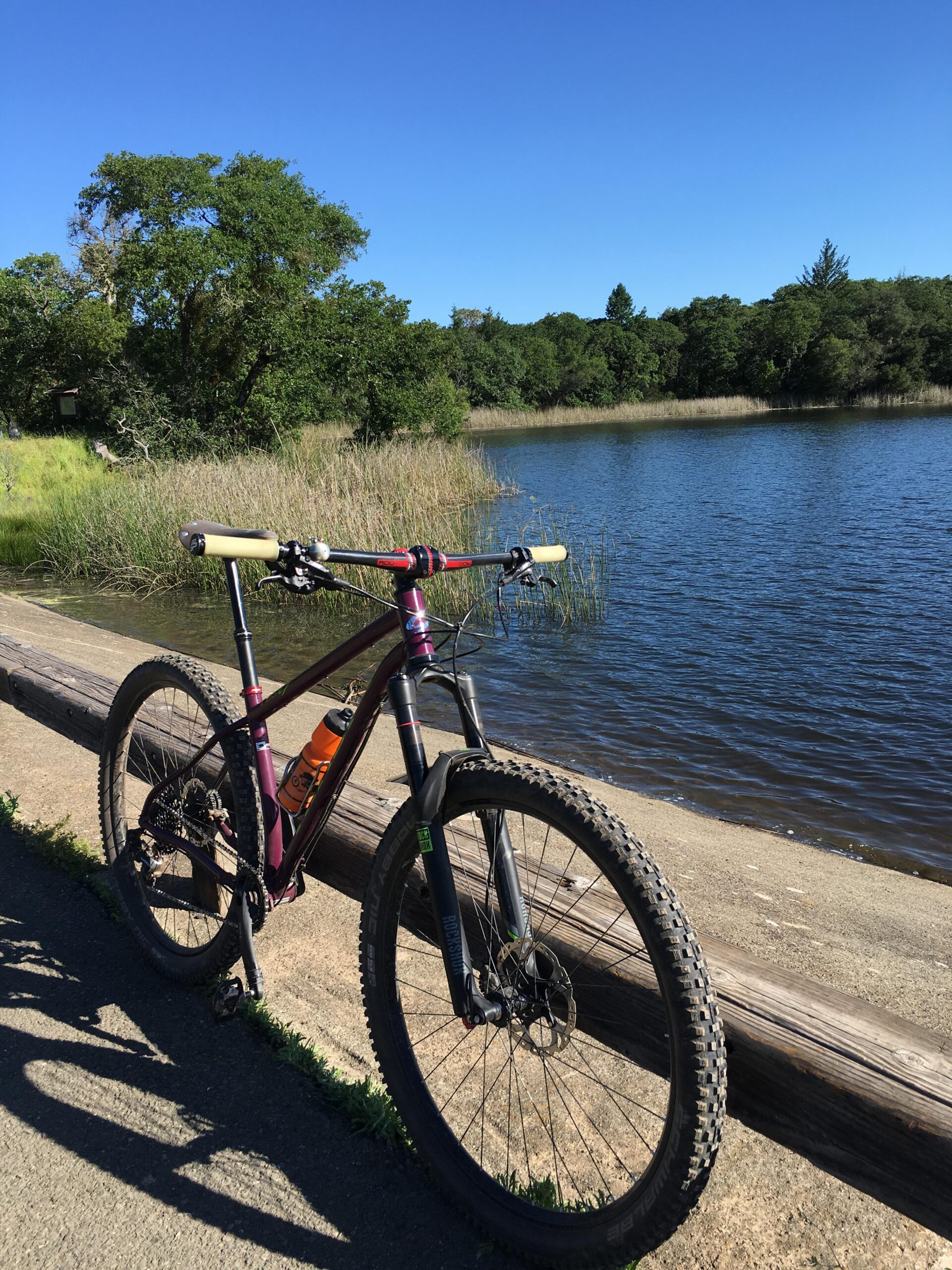 Niner ROS 9: A mountain bike with brown and purple accents is parked next to a calm body of water, surrounded by greenery. The bike's handlebars feature tan grips, and a bright orange water bottle is attached to the frame. The scene is bathed in sunlight under a clear blue sky, highlighting the natural landscape.