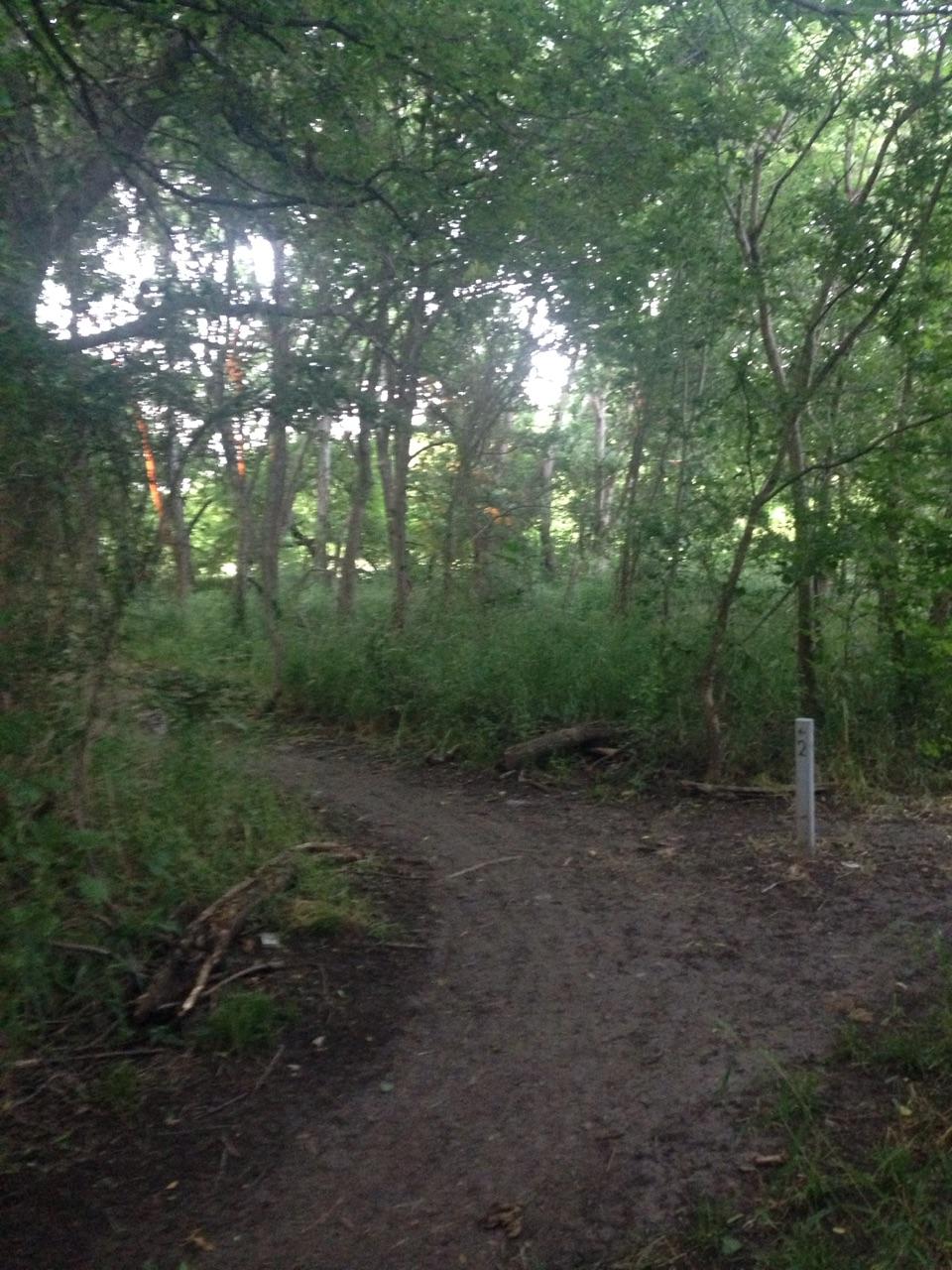 A winding dirt path through a dense forest, surrounded by tall trees and lush greenery. A trail marker is visible on the right side of the image, indicating the path number. The scene is illuminated by soft, filtered light, suggesting a tranquil, natural environment. Rowlett Creek Preserve mountain bike trail.