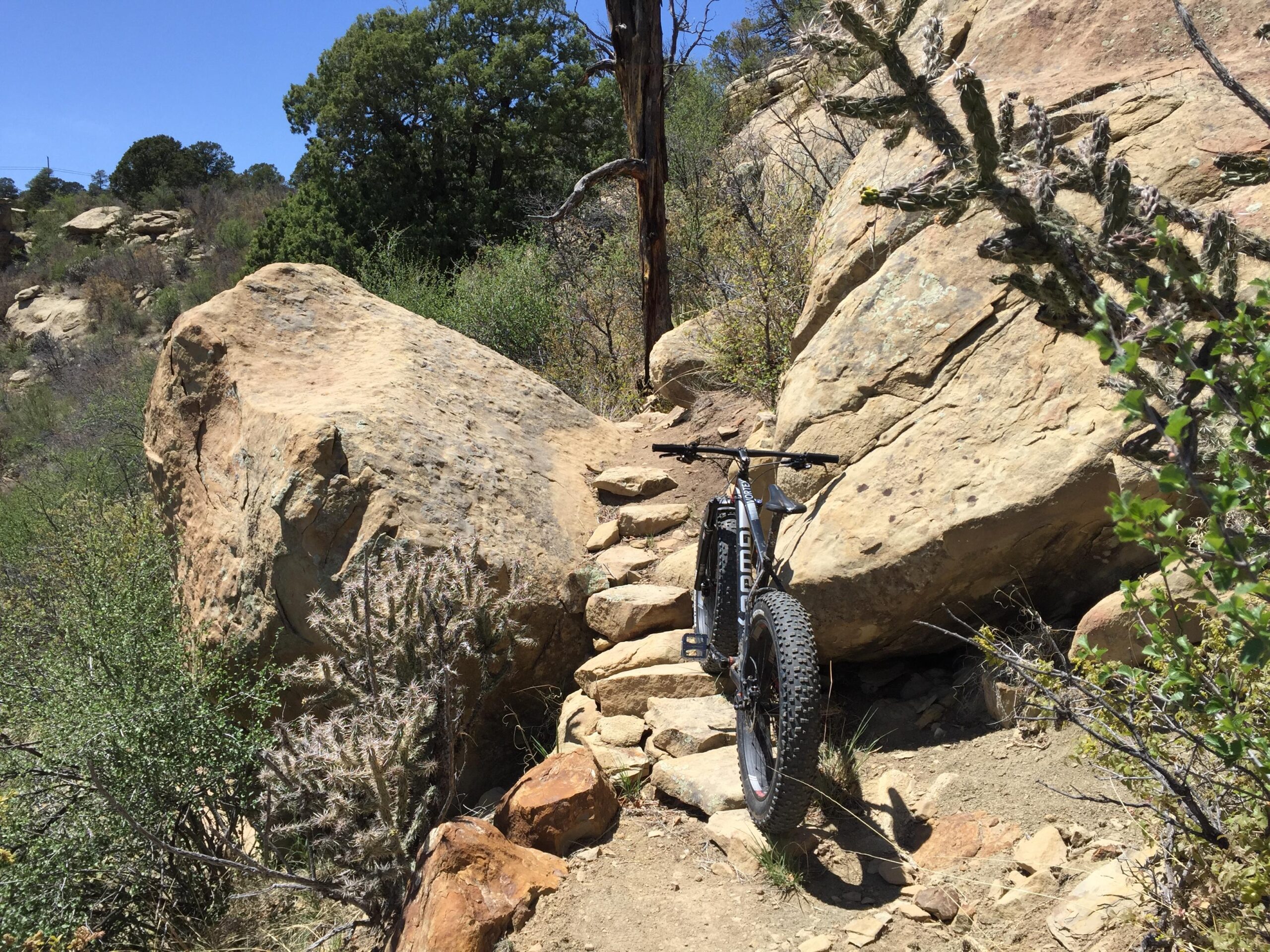 Climax Canyon Nature Trail Mountain Bike Trail in Raton, New 