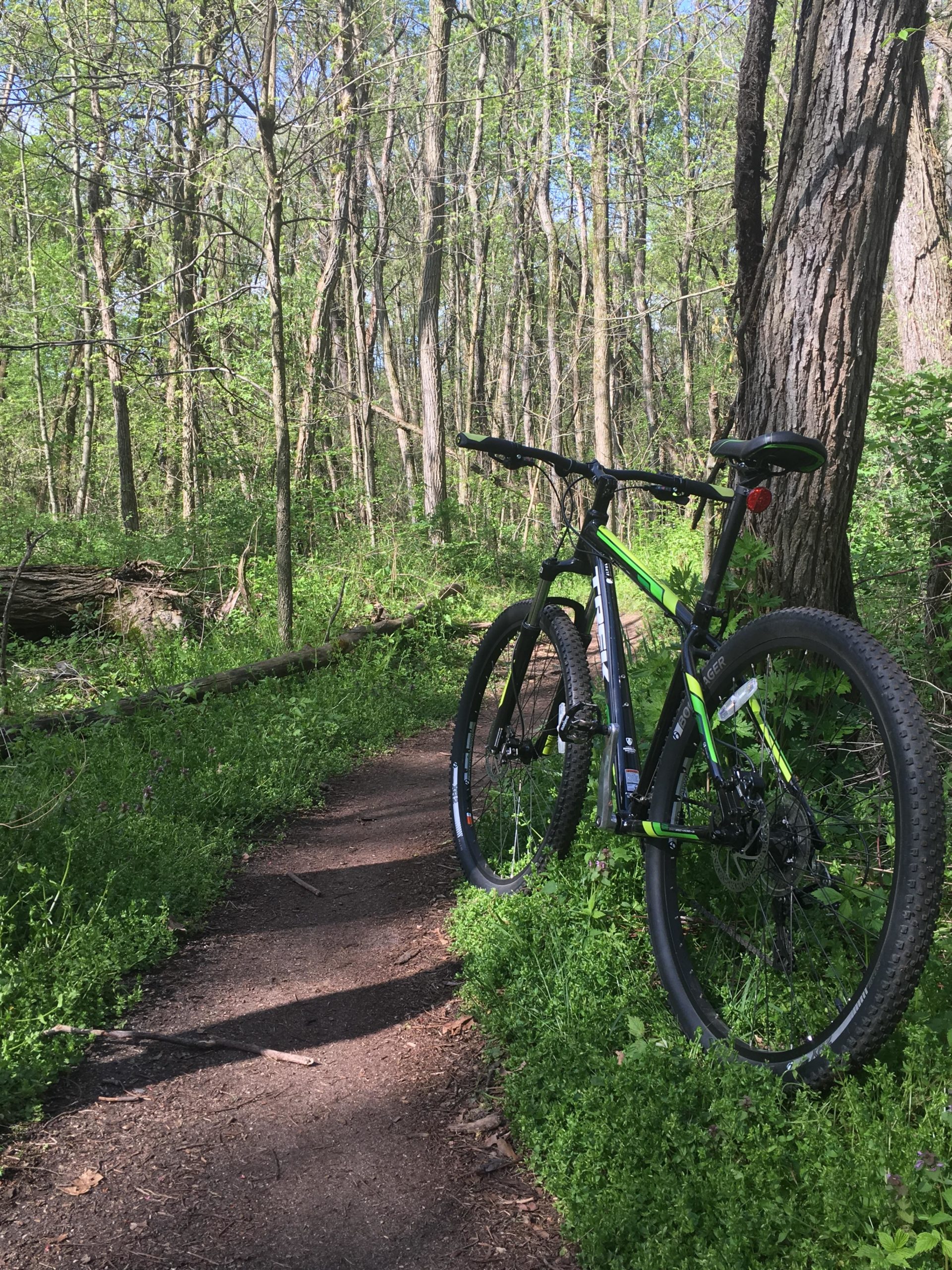 A mountain bike leaning against a tree on a narrow dirt path surrounded by lush green vegetation and trees in a forested area. Fort Custer Recreation Area mountain bike trail.