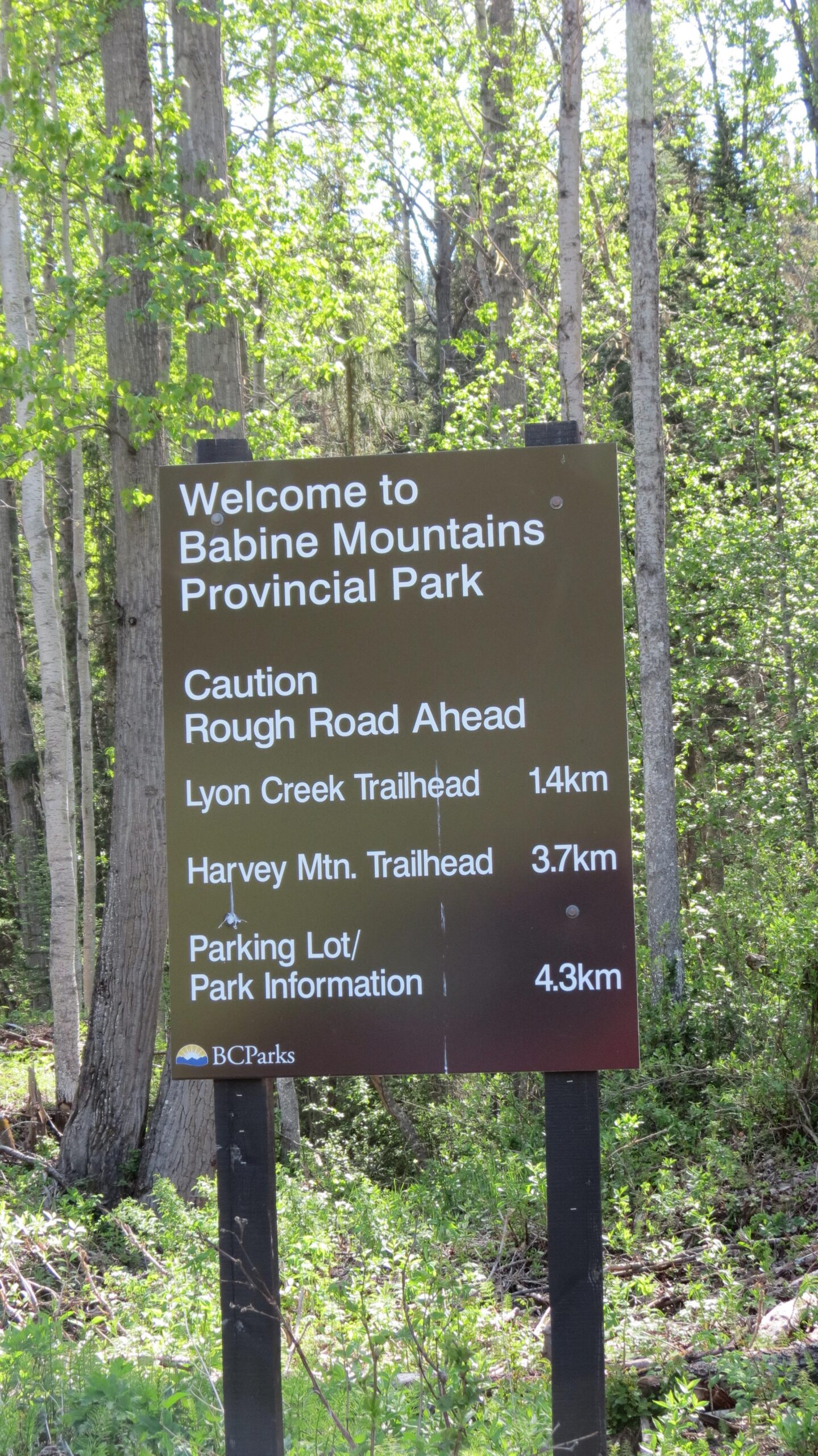A welcome sign for Babine Mountains Provincial Park, indicating caution for rough roads ahead. The sign lists distances to Lyon Creek Trailhead (1.4 km), Harvey Mountain Trailhead (3.7 km), and Parking Lot/Park Information (4.3 km), surrounded by greenery and trees. Harvey Mountain mountain bike trail.