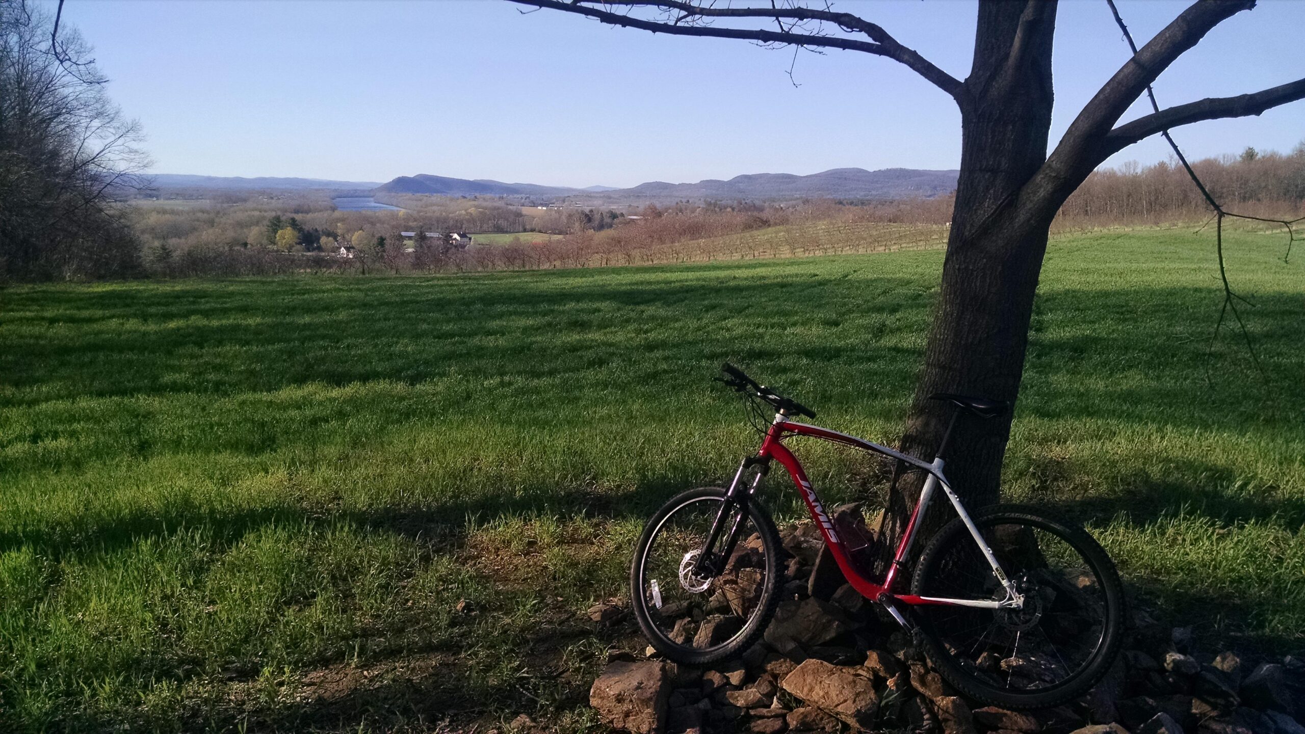 A mountain bike resting against a tree on a grassy hillside, with a scenic view of rolling hills and a river in the background under a clear blue sky. Mount Warner Reservation mountain bike trail.