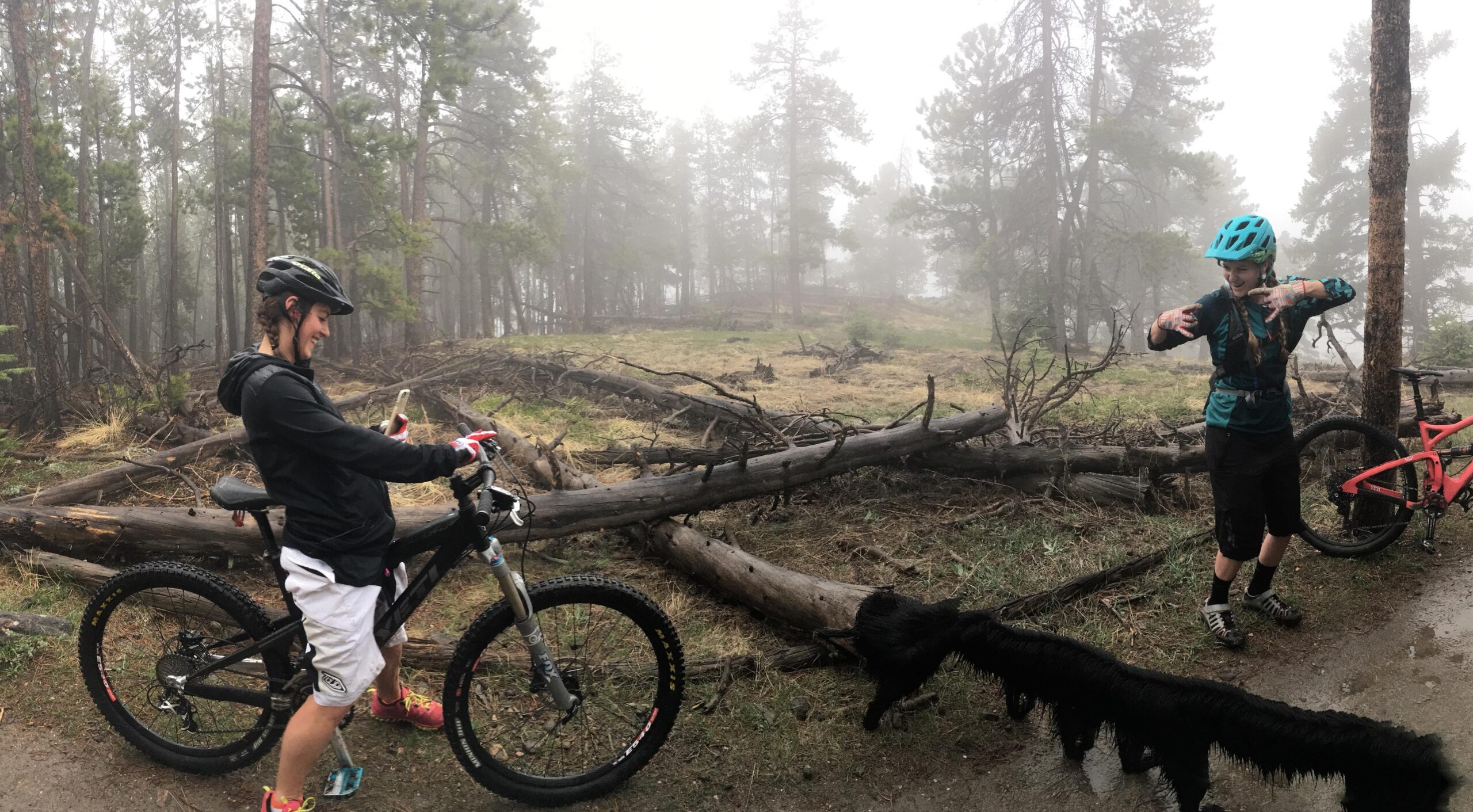 Two mountain bikers pause on a foggy trail surrounded by tall trees. One biker, wearing a black helmet and jacket, is smiling while checking their phone next to a mountain bike. The other biker, dressed in a teal jersey and a blue helmet, is playfully gesturing beside a black dog as a red mountain bike leans against a tree nearby. Fallen branches and mist add to the serene atmosphere of the forested environment. Three Sisters mountain bike trail.