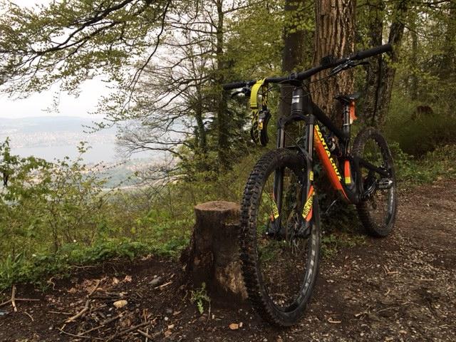 Santa Cruz Nomad Carbon 27.5: A mountain bike resting against a tree stump on a trail, surrounded by lush greenery and a distant view of hills or valleys. The scene suggests a peaceful outdoor setting, ideal for biking and exploring nature.