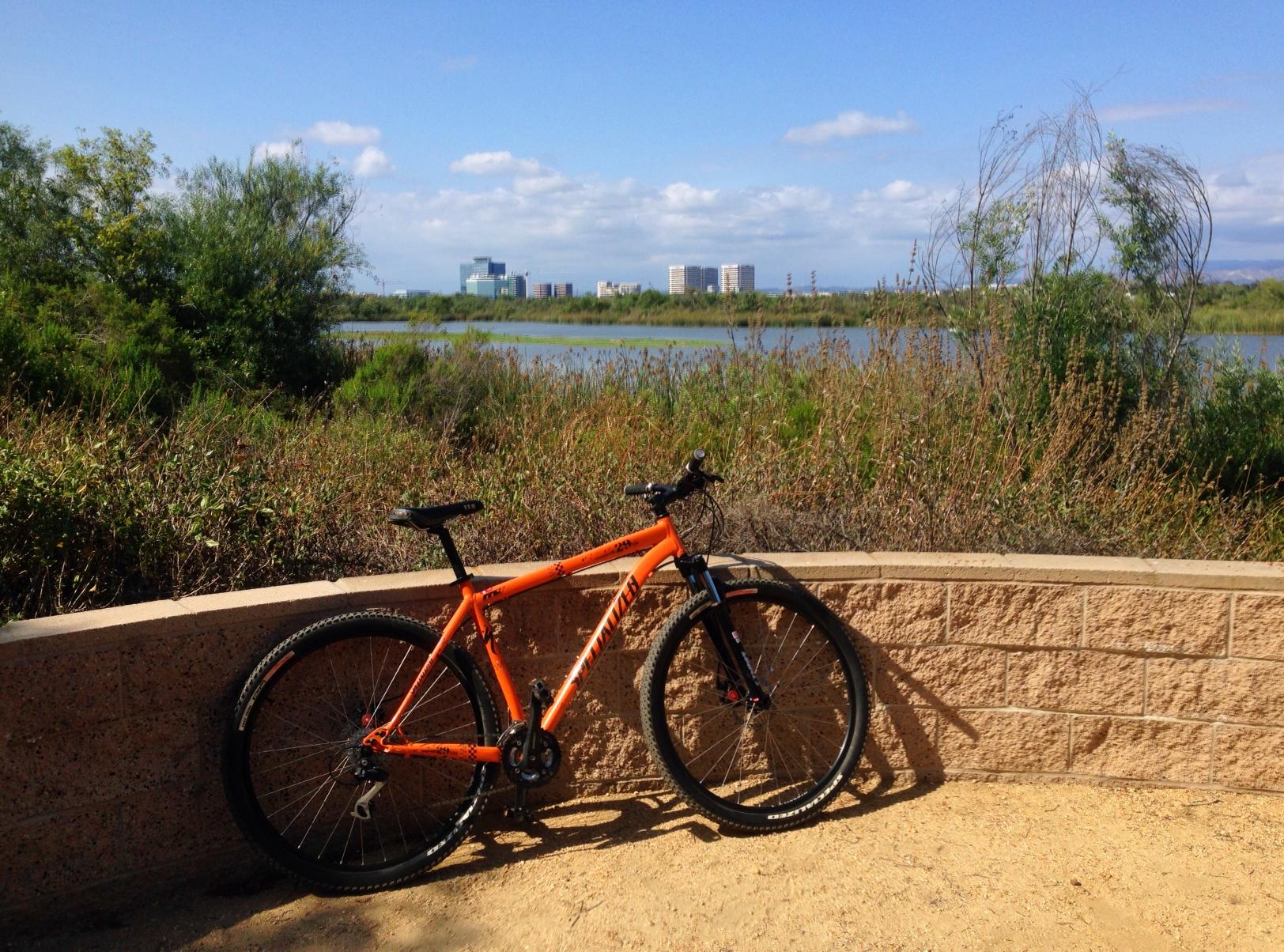 Specialized Rockhopper 29: An orange mountain bike is leaning against a stone wall with a scenic view of a lake and urban buildings in the background. Lush greenery surrounds the area under a clear blue sky.
