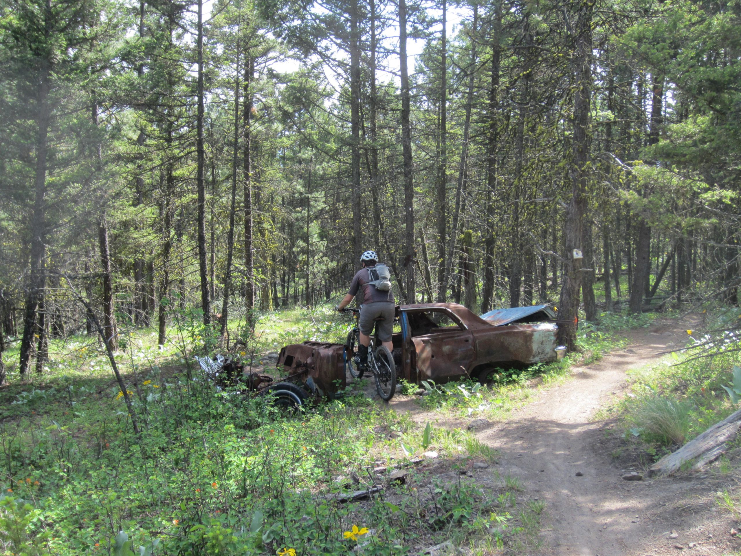 A mountain biker navigating a dirt path in a forest, passing by an old, rusted car partially covered by vegetation. Surrounding trees and wildflowers add to the lush green scenery. Smith Creek mountain bike trail.