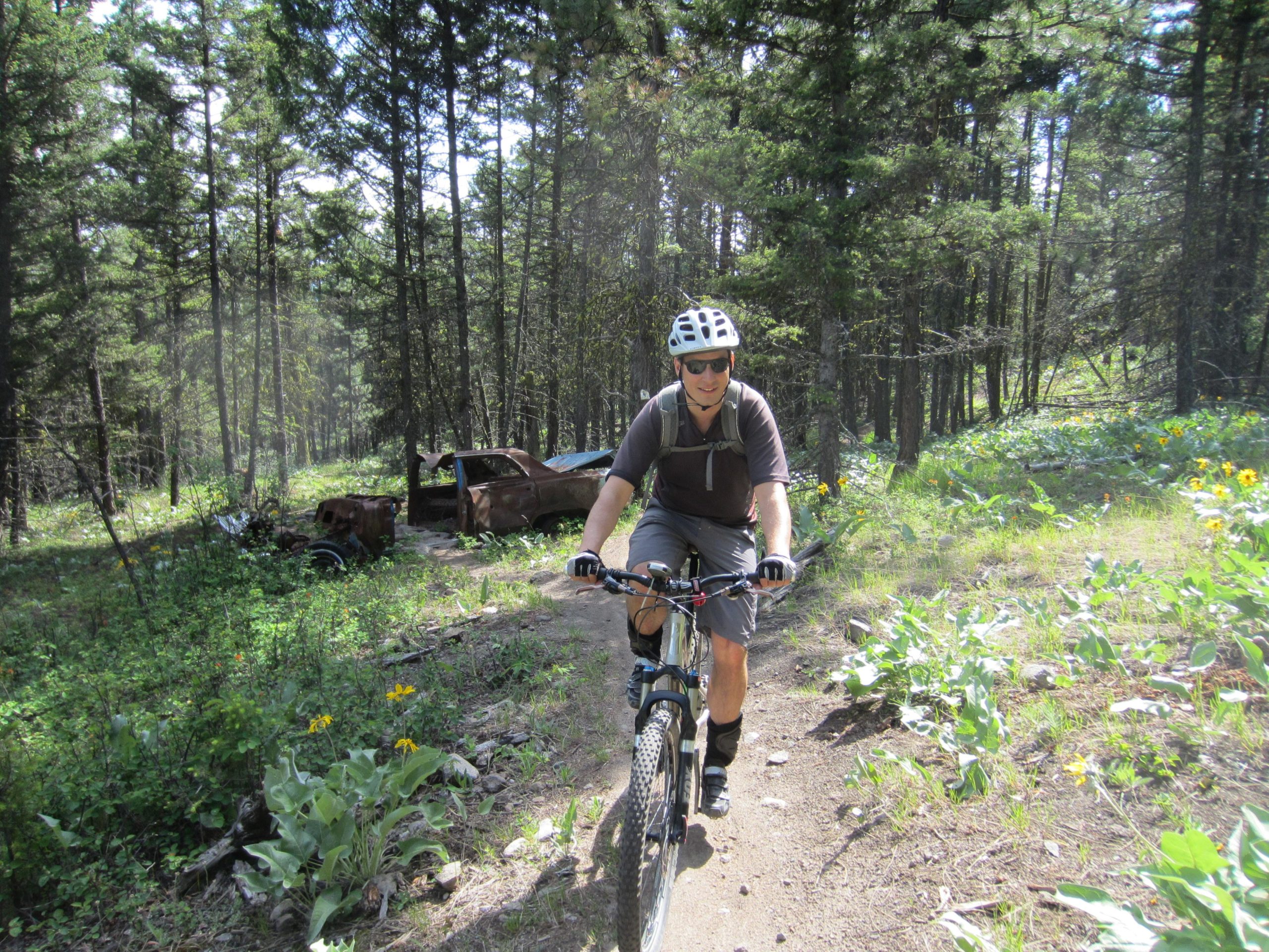 A person riding a mountain bike on a wooded trail surrounded by tall trees and wildflowers, with an old, rusty car partially visible in the background. The scene is bright and sunny, showcasing a blend of nature and outdoor adventure. Smith Creek mountain bike trail.