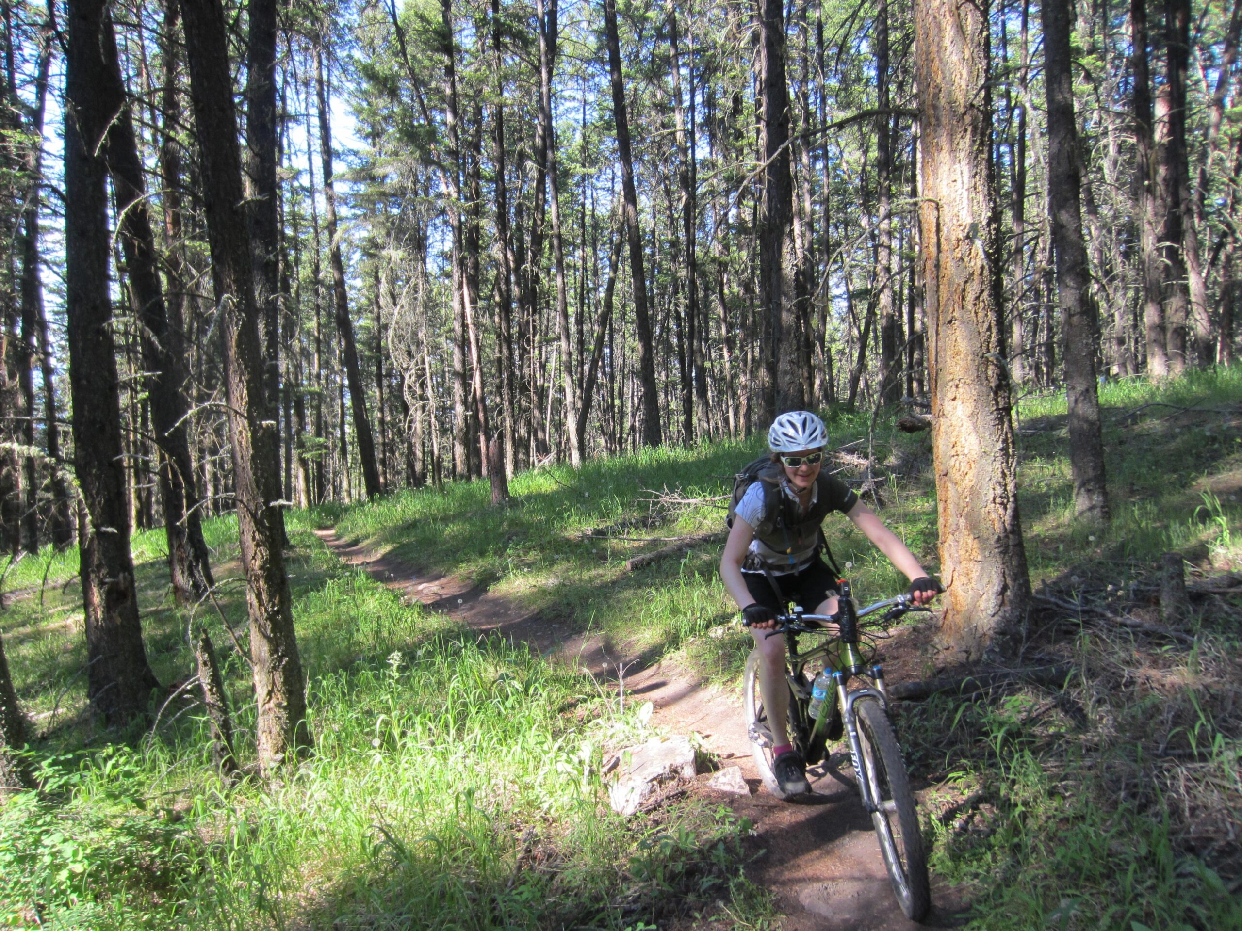 A person riding a mountain bike along a narrow trail in a lush forest, surrounded by tall trees and green grass. The cyclist is wearing a helmet and sunglasses, with a backpack, enjoying a sunny day outdoors. Ellison Park mountain bike trail.
