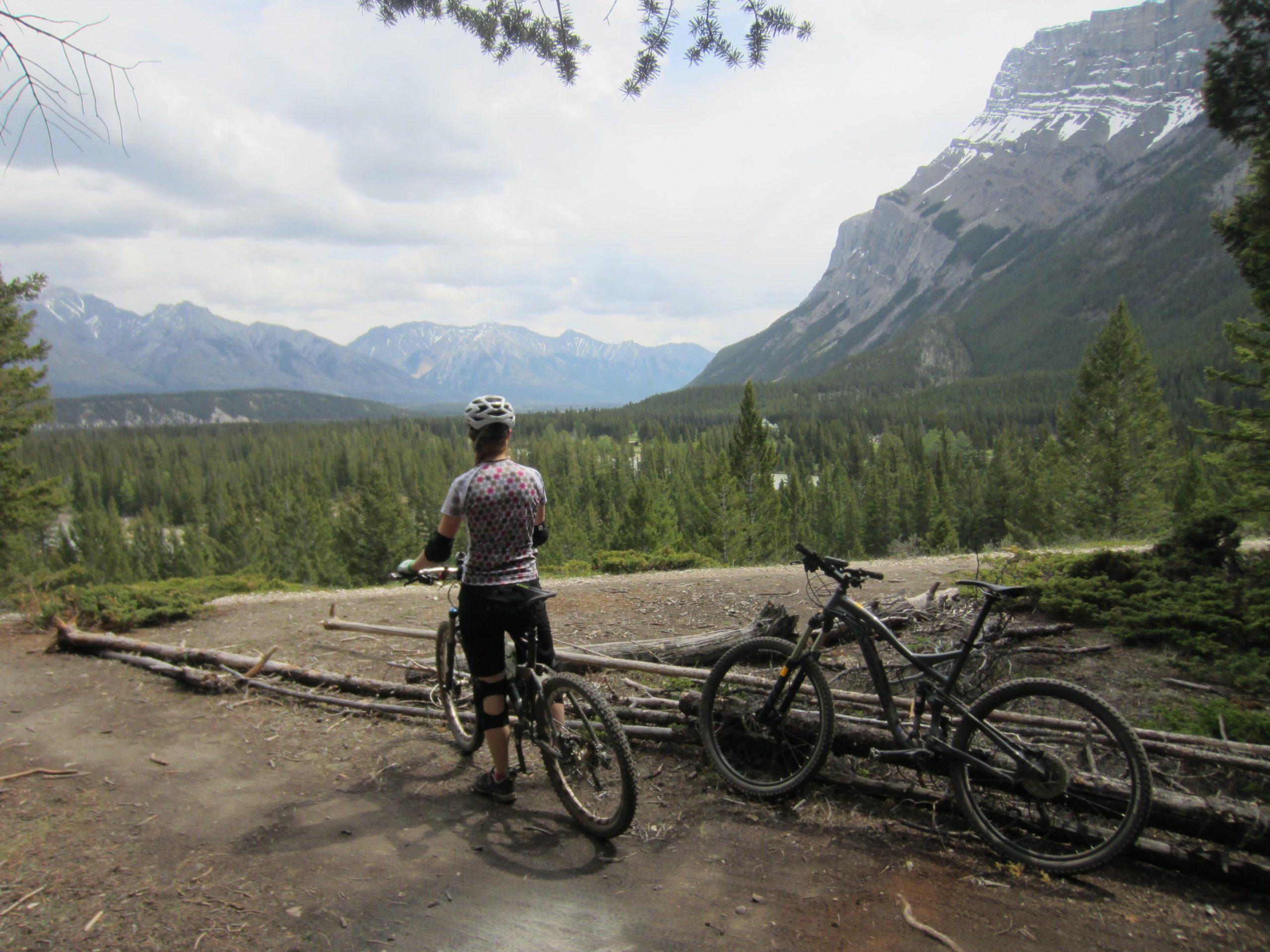 A mountain biker stands on a trail overlooking a lush valley and mountain range, with a bike resting nearby. Pine trees frame the scene under a partly cloudy sky, creating a serene outdoor atmosphere ideal for cycling adventures. Tunnel Mountain Trail System mountain bike trail.
