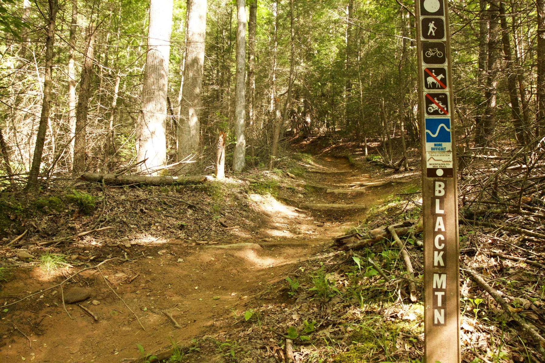 A dirt hiking trail winding through a forest, with tall trees and underbrush on either side. A wooden trail sign on the right indicates the path is labeled "BLACK MTN" and displays various symbols for allowed activities like hiking and biking, as well as warnings against specific vehicles. Sunlight filters through the leaves, illuminating the trail. Black Mountain mountain bike trail.