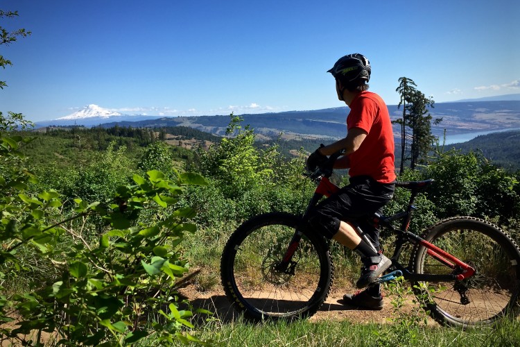 A mountain biker in a red shirt and black shorts overlooks a scenic landscape featuring lush green hills and a distant snow-capped mountain under a clear blue sky.