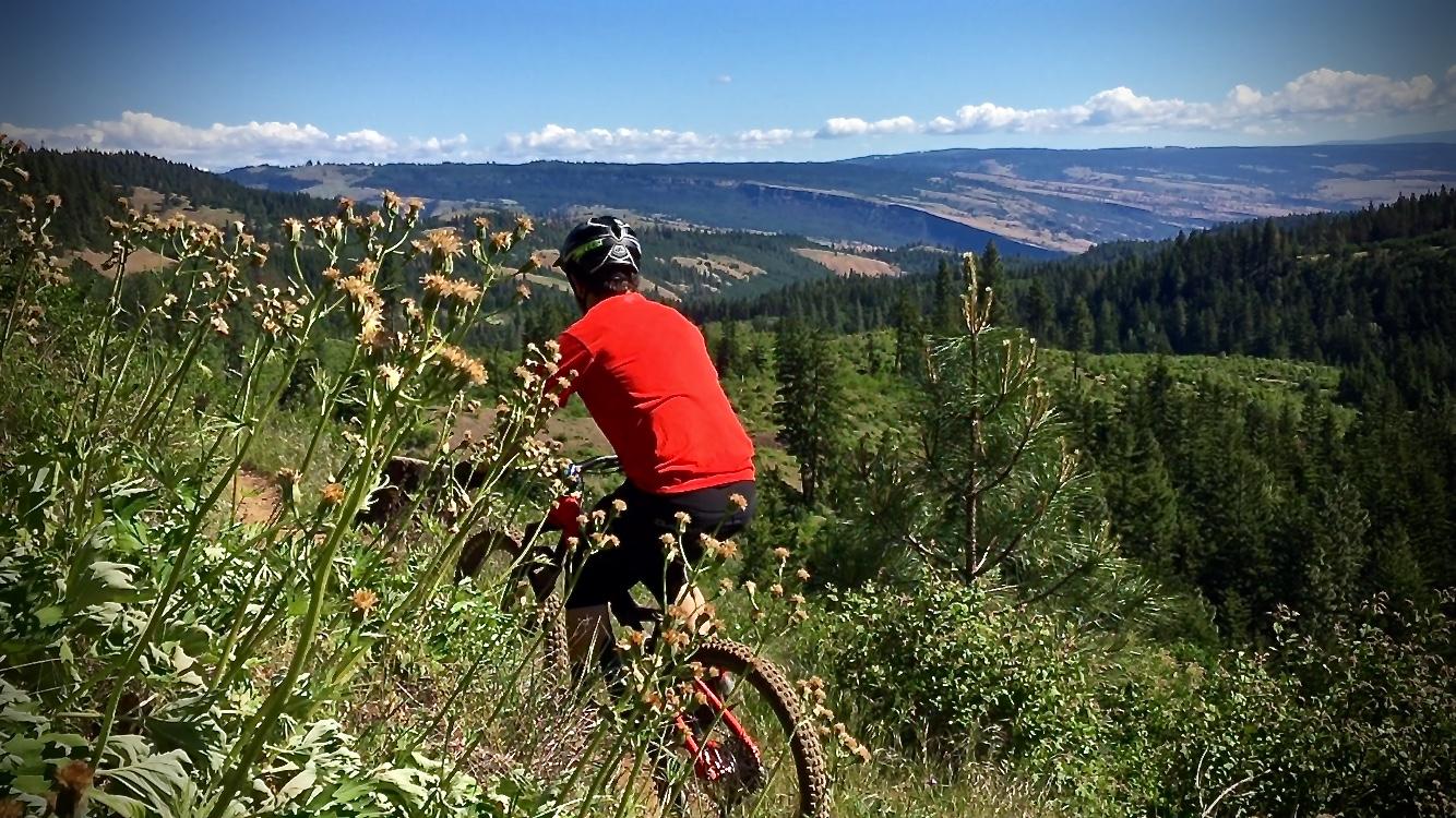 A person riding a mountain bike on a trail surrounded by greenery, with a panoramic view of rolling hills and a blue sky in the background. Wildflowers and tall grasses frame the scene. Whoopdee mountain bike trail.