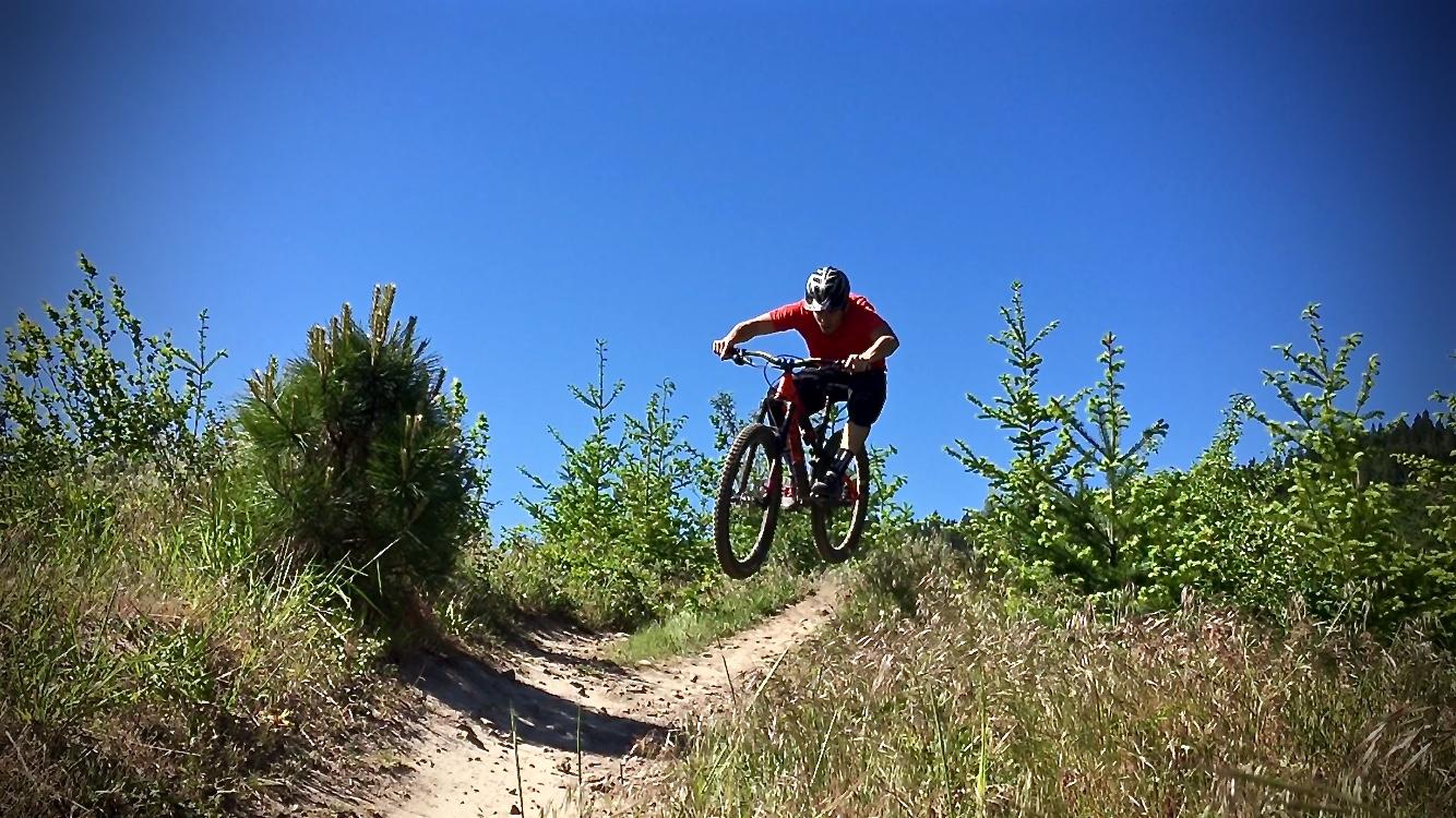 A mountain biker in a red shirt and helmet is performing a jump over a dirt trail surrounded by lush greenery and blue skies. Whoopdee mountain bike trail.