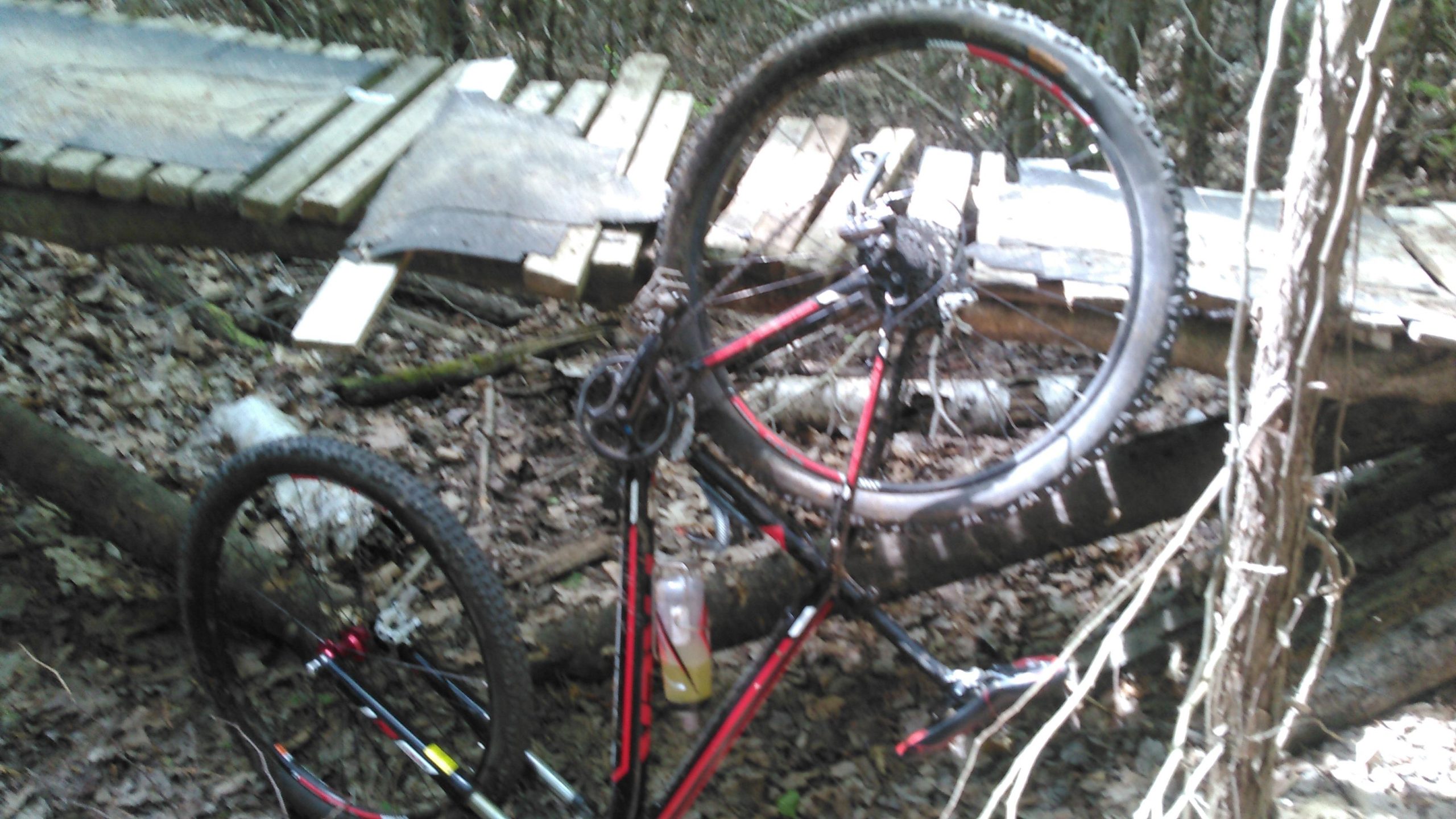 A mountain bike resting on its side in a forested area, with the front wheel and handlebars elevated above the ground. In the background, a wooden platform made of planks is visible, surrounded by fallen leaves and tree branches. A water bottle is partially visible near the bike. The scene depicts a natural outdoor setting suitable for biking. Blue Trail mountain bike trail.