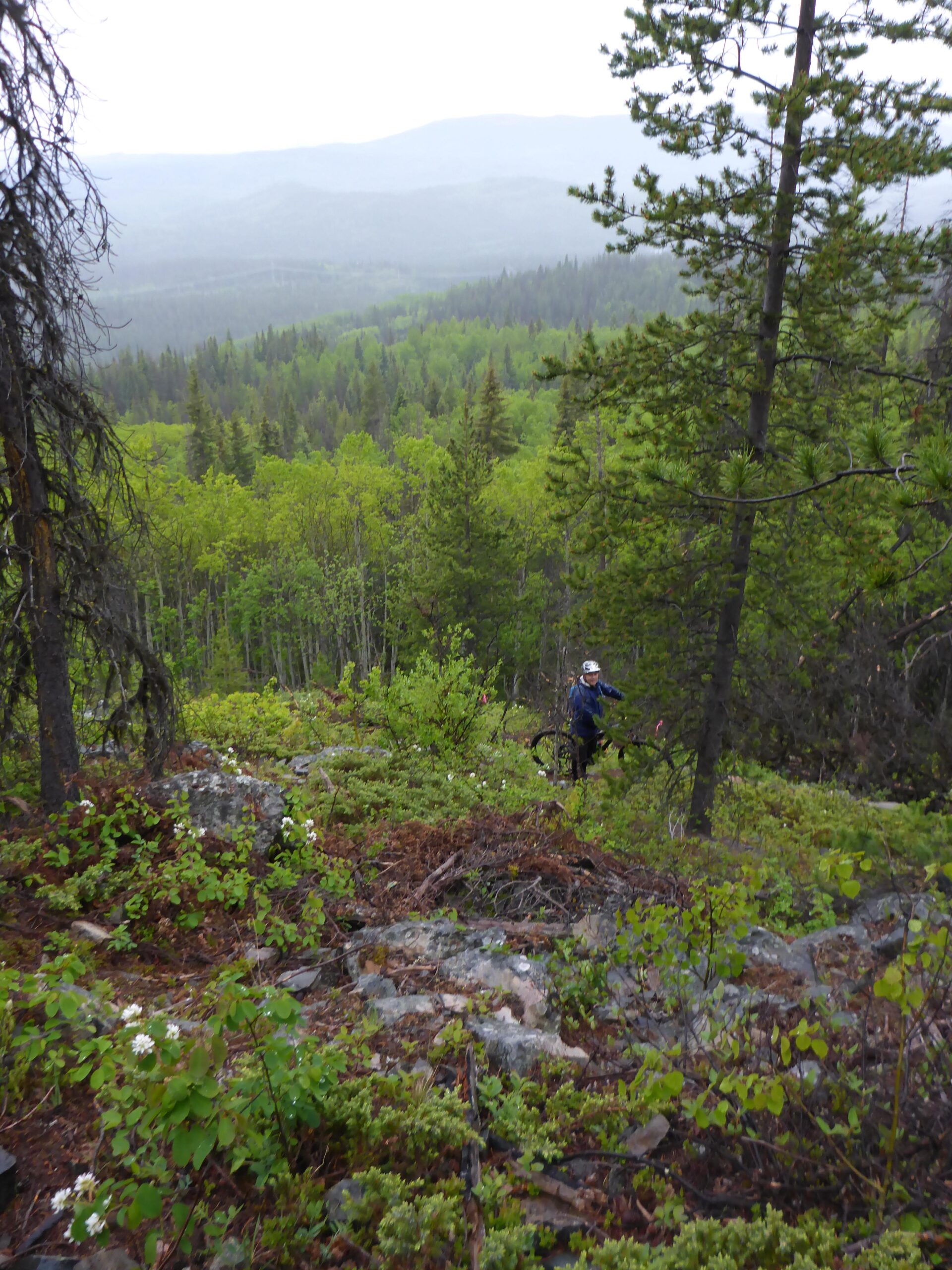 A person wearing a helmet rides a mountain bike on a rocky trail surrounded by lush green vegetation and tall trees. In the background, rolling hills and a misty landscape extend into the distance under an overcast sky. Boer Mountain mountain bike trail.
