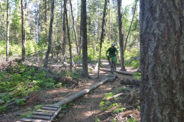 A mountain biker riding over a wooden plank bridge in a lush forest, surrounded by tall trees and greenery, on a sunny day. Piderney Recreation Site mountain bike trail.