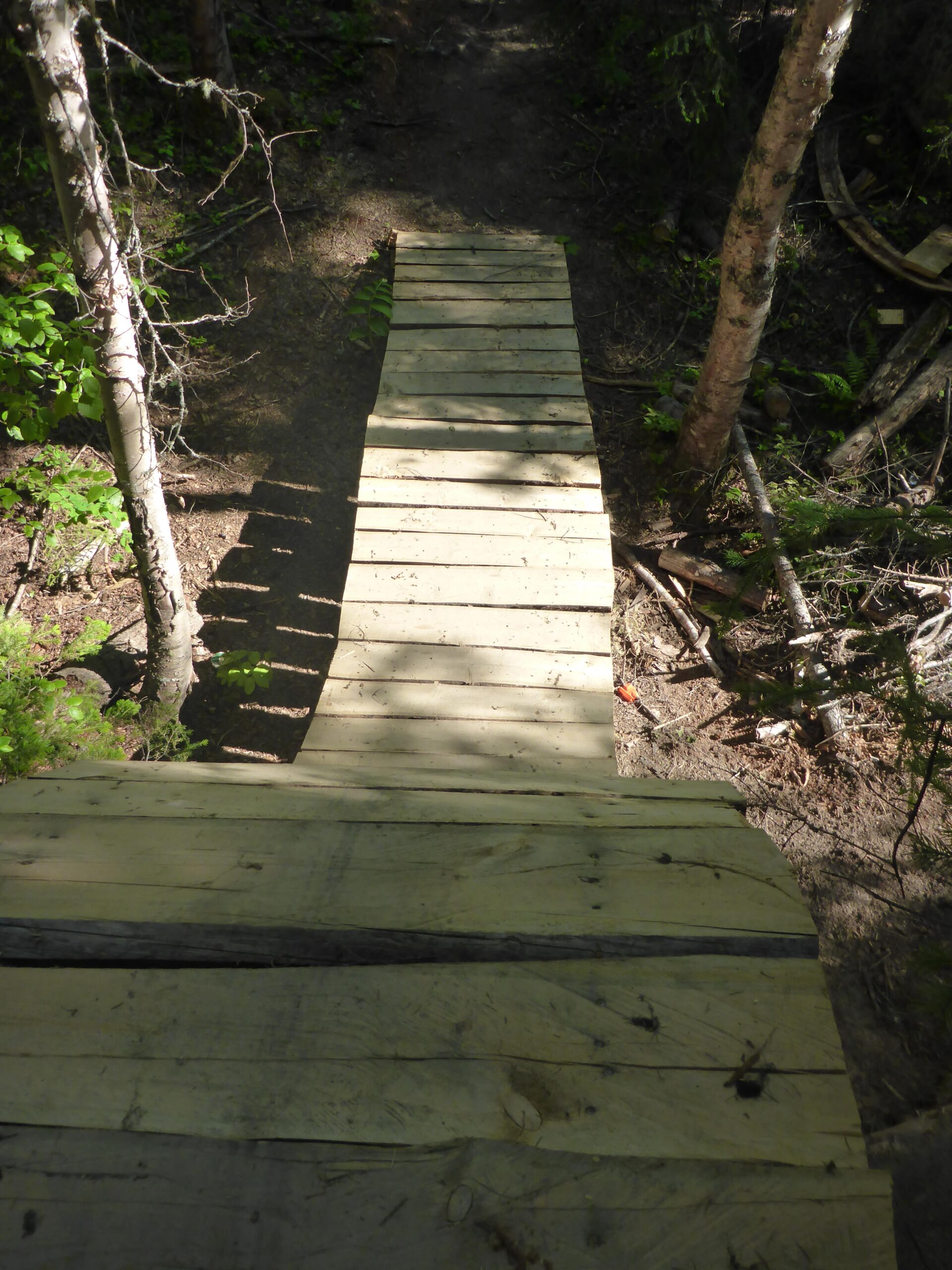 A wooden bridge or walkway extending through a forested area, surrounded by trees and greenery, with sunlight filtering through the leaves. The path appears to be slightly curved and is built from planks, leading deeper into the wooded landscape. Piderney Recreation Site mountain bike trail.