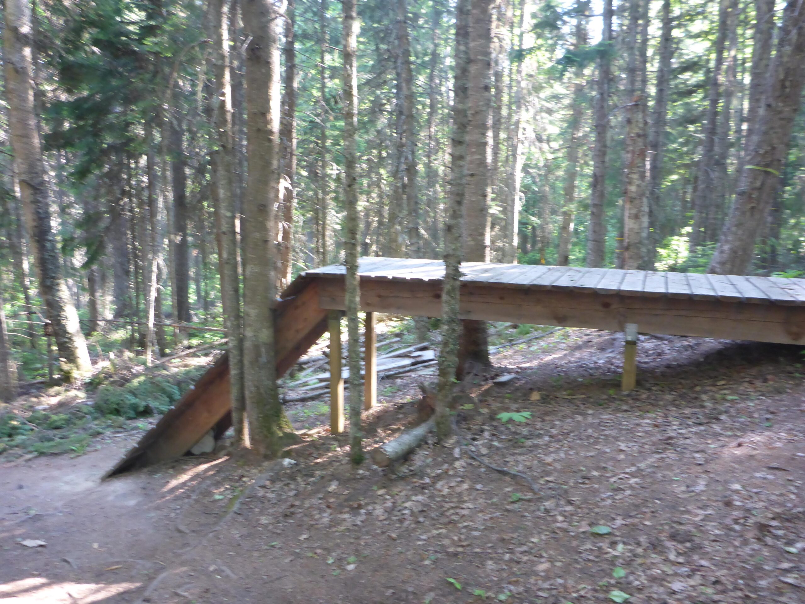 A wooden walkway, partially elevated, leads through a dense forest with tall trees and scattered foliage on the ground. Sunlight filters through the branches, creating a serene, natural atmosphere. Piderney Recreation Site mountain bike trail.