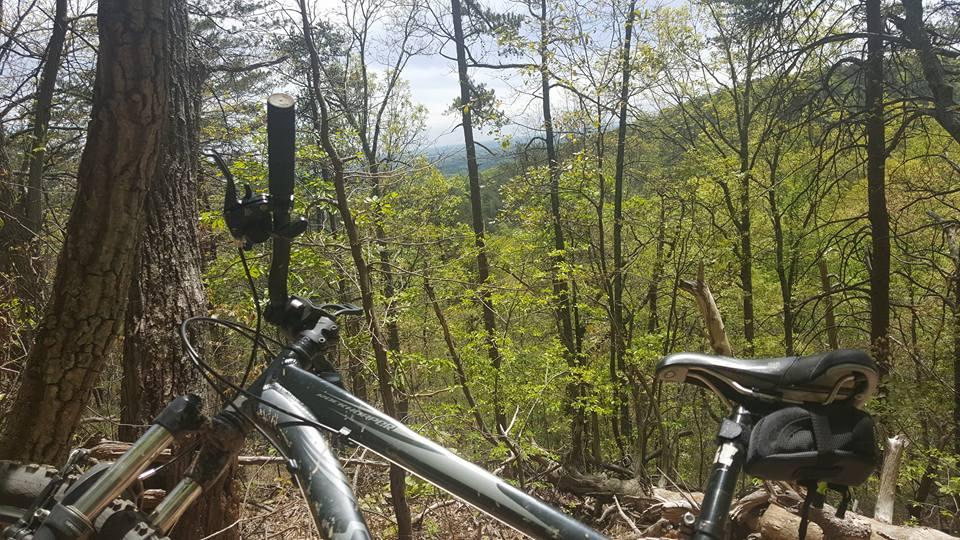 A mountain bike resting on the ground with a forest backdrop, showcasing lush green trees and a distant view of rolling hills under a partly cloudy sky. Paris Mountain State Park mountain bike trail.