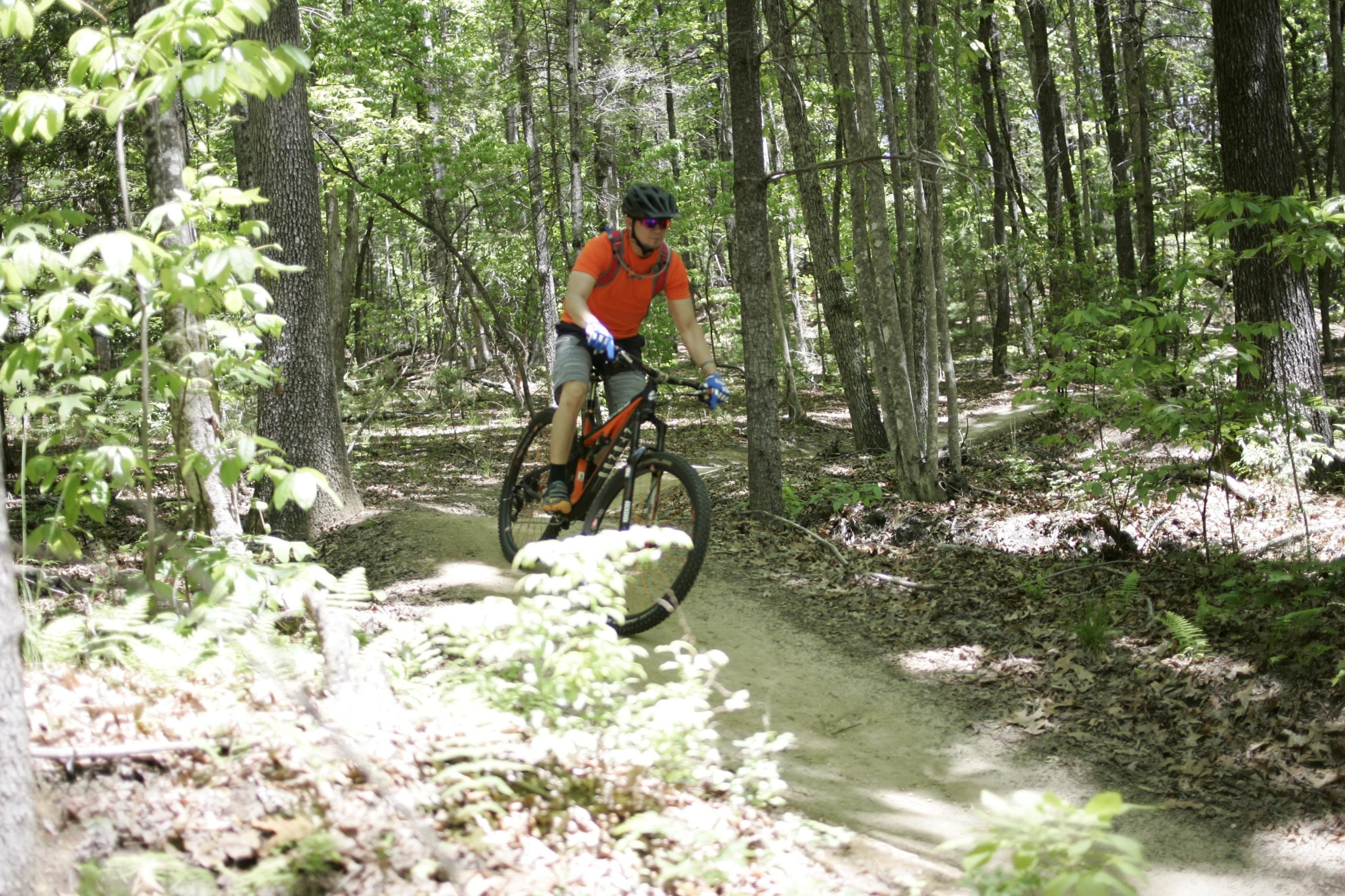 A person wearing a red shirt, blue gloves, and a helmet rides a mountain bike on a dirt trail surrounded by trees and greenery. Sunlight filters through the leaves, highlighting the natural setting. Ridgeline Trail #65 mountain bike trail.