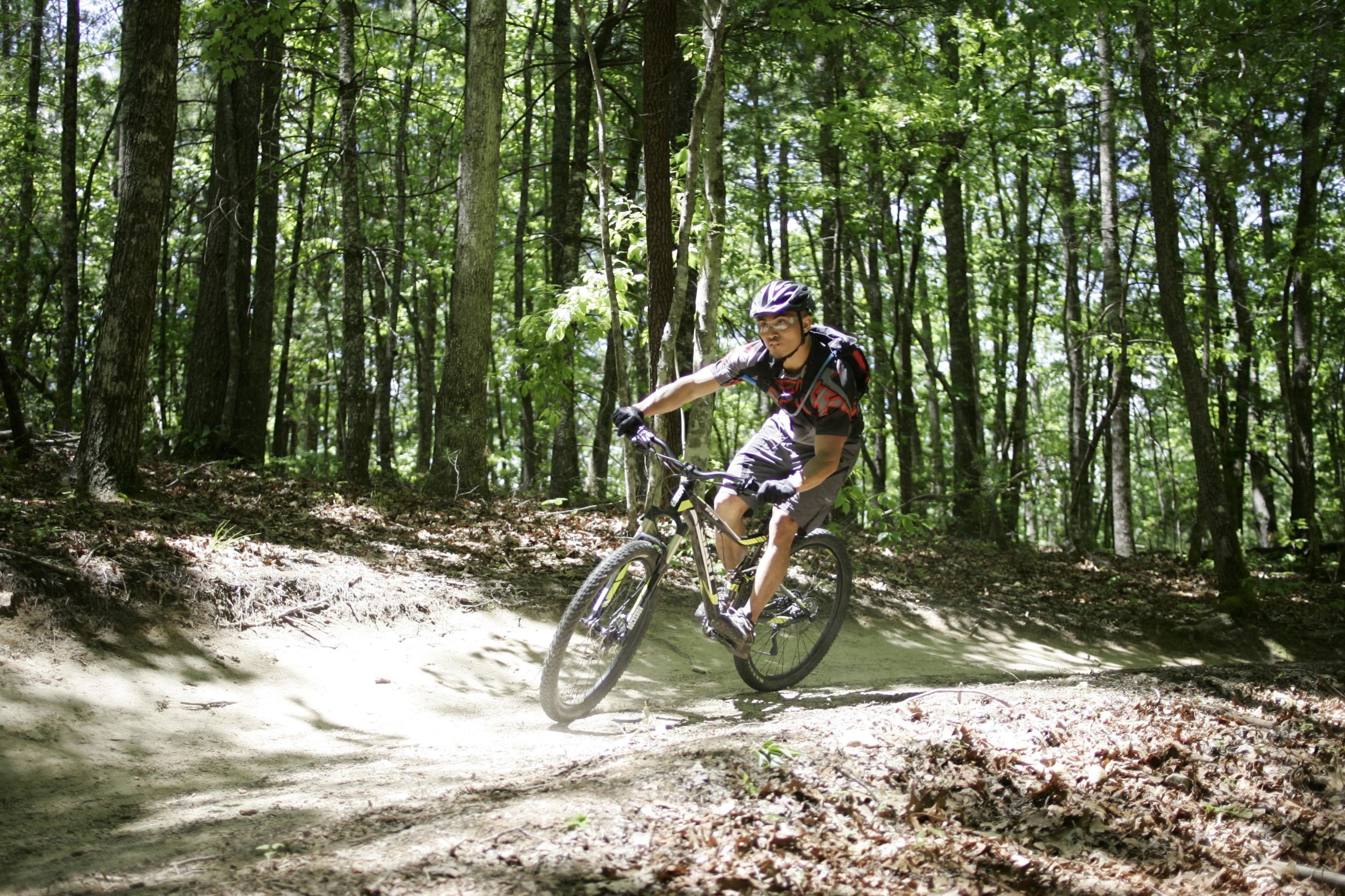 A person riding a mountain bike on a dirt trail surrounded by trees in a lush, green forest area. The cyclist is wearing a helmet and cycling gear, and is leaning into a turn on the trail. Sunlight filters through the leaves, creating a dappled light effect on the ground. Ridgeline Trail #65 mountain bike trail.