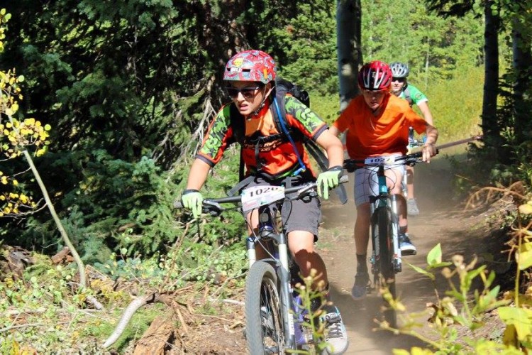 Three mountain bikers navigate a dusty trail surrounded by green trees and foliage. The cyclist in the foreground wears a colorful helmet and a vibrant jersey, focused on the path ahead. Two other riders, dressed in bright colors, follow closely behind, with sunlight filtering through the trees.