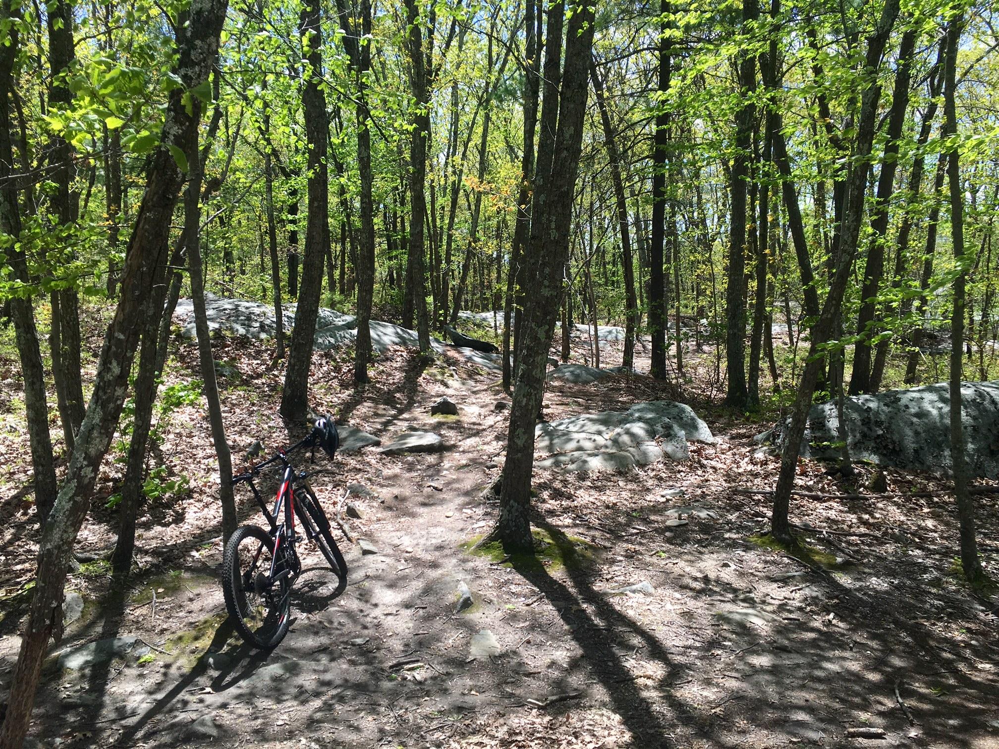 A mountain bike with a helmet resting nearby on a dirt trail surrounded by lush green trees and large rocks in a forested area on a sunny day. Vietnam Trails mountain bike trail.