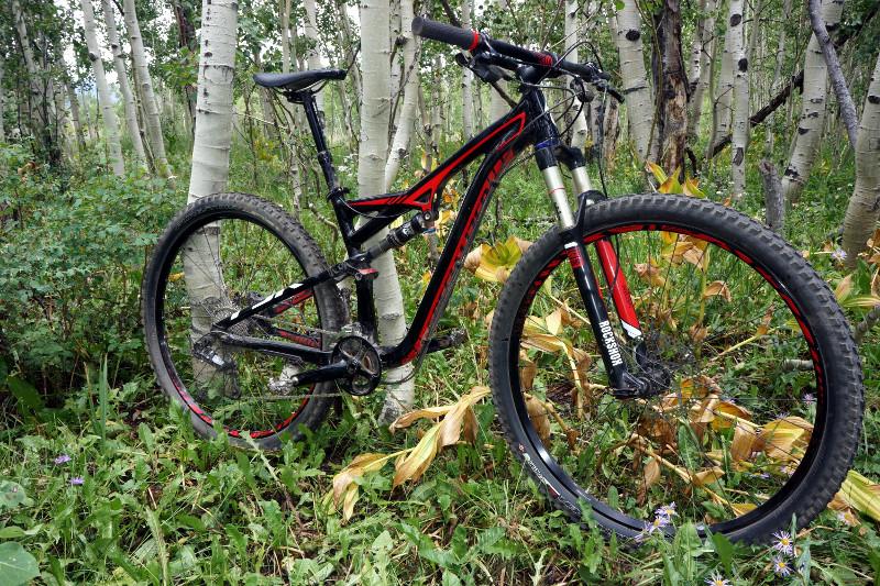 Specialized Camber Comp 29: A mountain bike with a black and red frame stands amidst a lush forest, surrounded by tall trees and green foliage. The bike is positioned on uneven terrain, showcasing its thick tires and suspension forks, suggesting it's ready for off-road adventures.