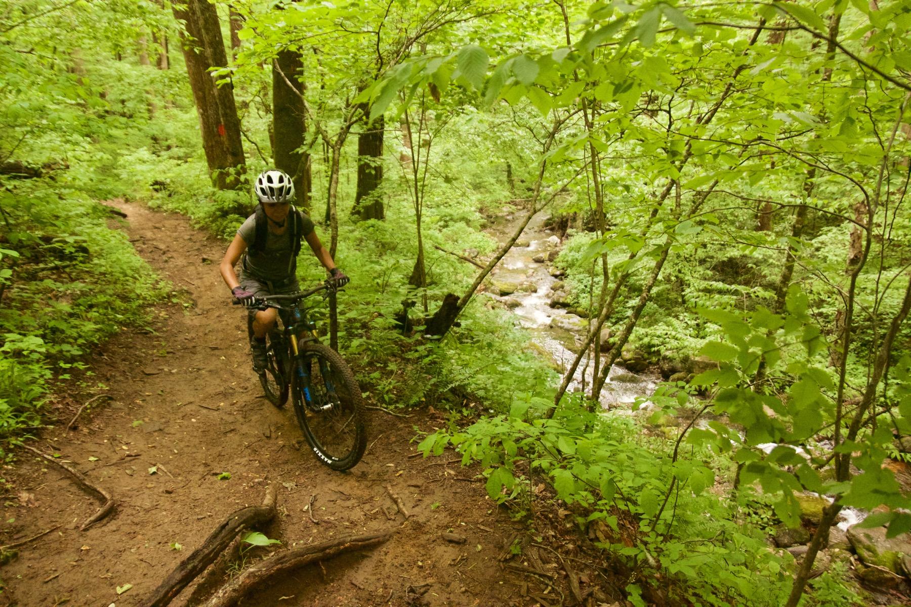A person riding a mountain bike along a dirt trail surrounded by lush green foliage and trees, with a small stream visible in the background. The rider is wearing a helmet and is focused on navigating the terrain. Daniel Ridge mountain bike trail.