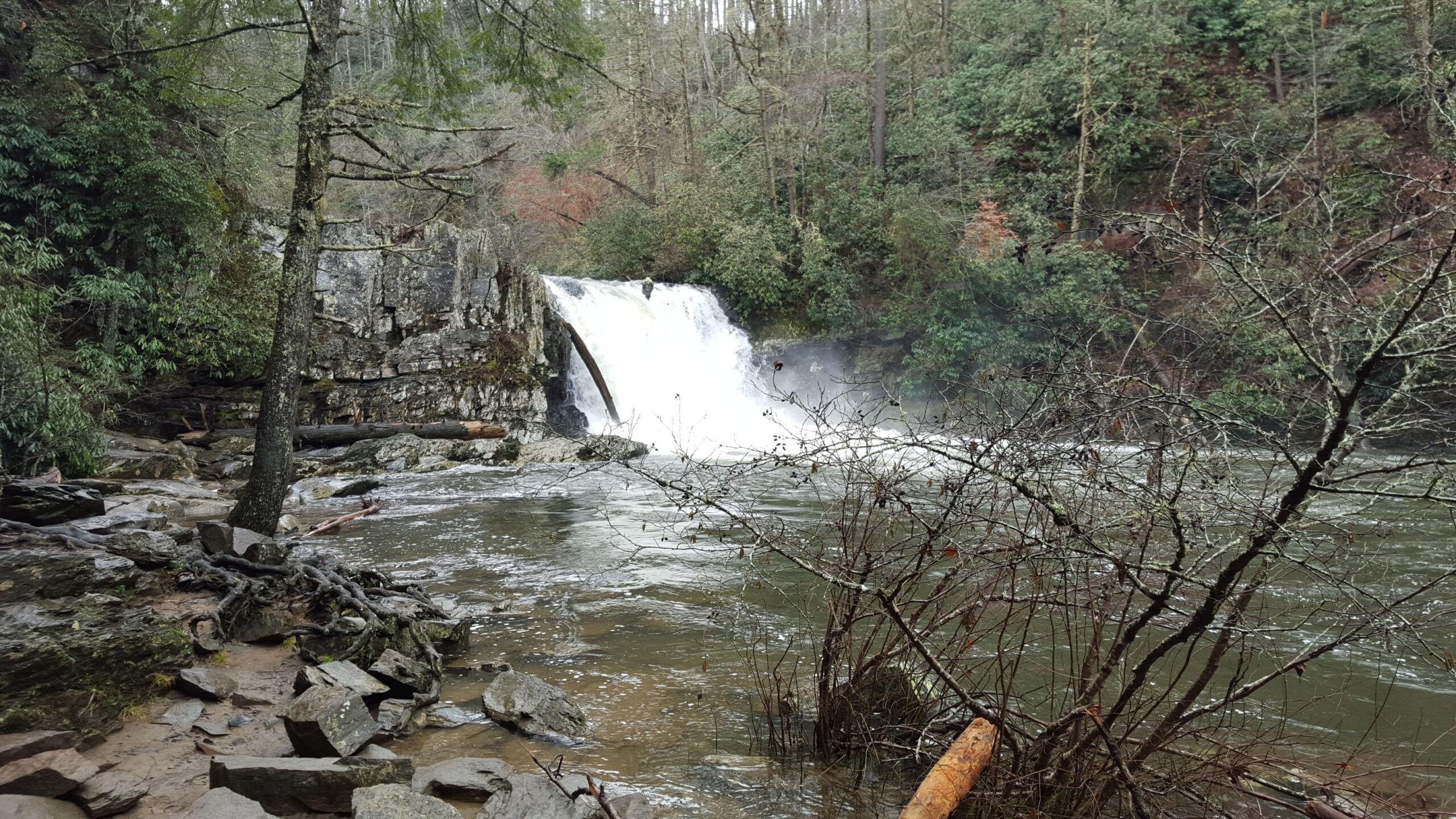 A serene landscape featuring a waterfall cascading over rocks into a river, surrounded by dense greenery and trees. The area is tranquil, with exposed roots and stones visible along the water