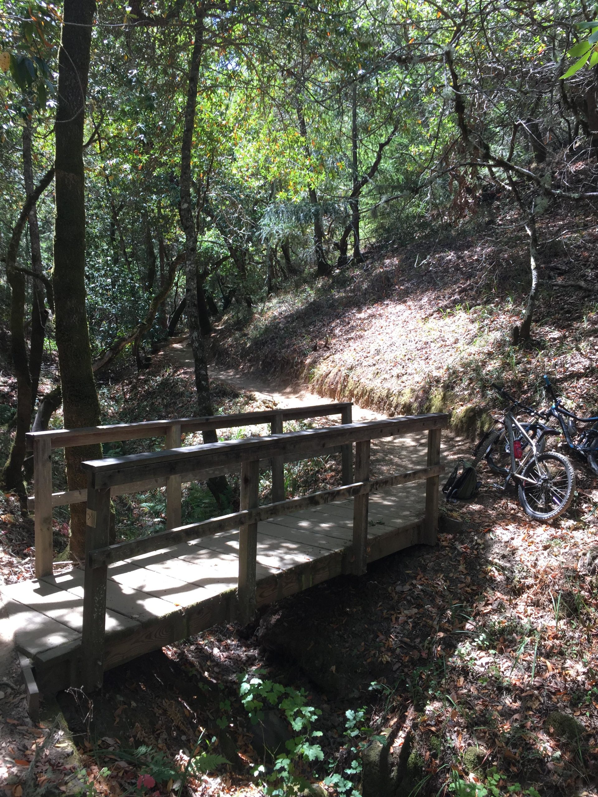 A wooden bridge crossing a small creek in a wooded area, with dappled sunlight filtering through the trees. In the foreground, a bicycle is parked next to the bridge, surrounded by fallen leaves and greenery. A winding dirt path leads into the forest. Camp Tamarancho mountain bike trail.