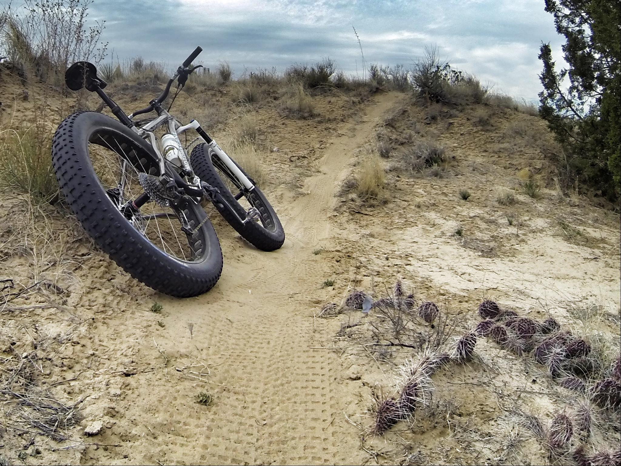 A fat tire mountain bike resting on sandy terrain, beside a dirt trail leading up a small hill. Surrounding vegetation includes sparse grasses and cacti, under a cloudy sky. Tire tracks are visible on the sandy path. Mariposa Fat Bike Trails mountain bike trail.